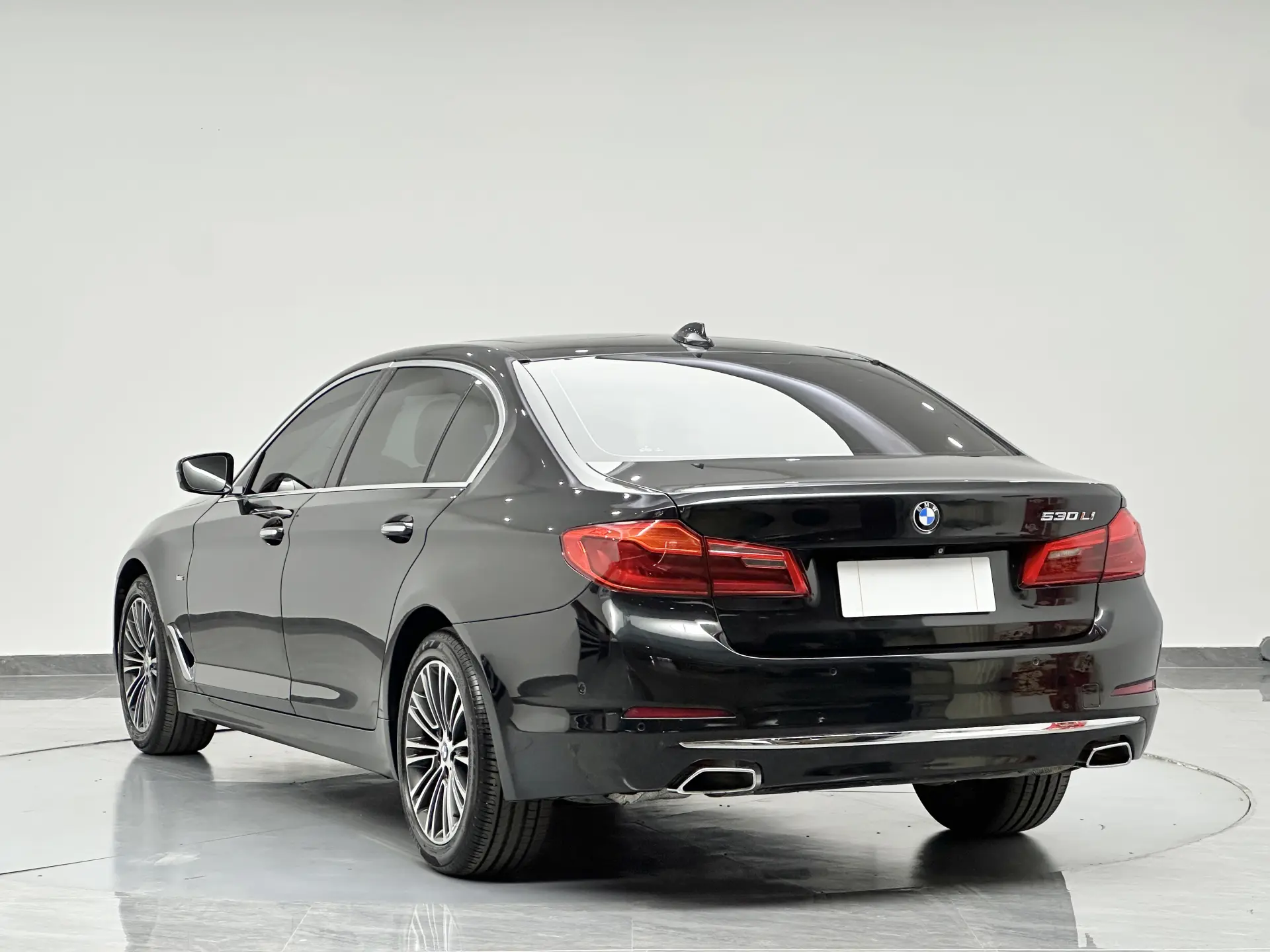BMW 530Li, 2018 14
