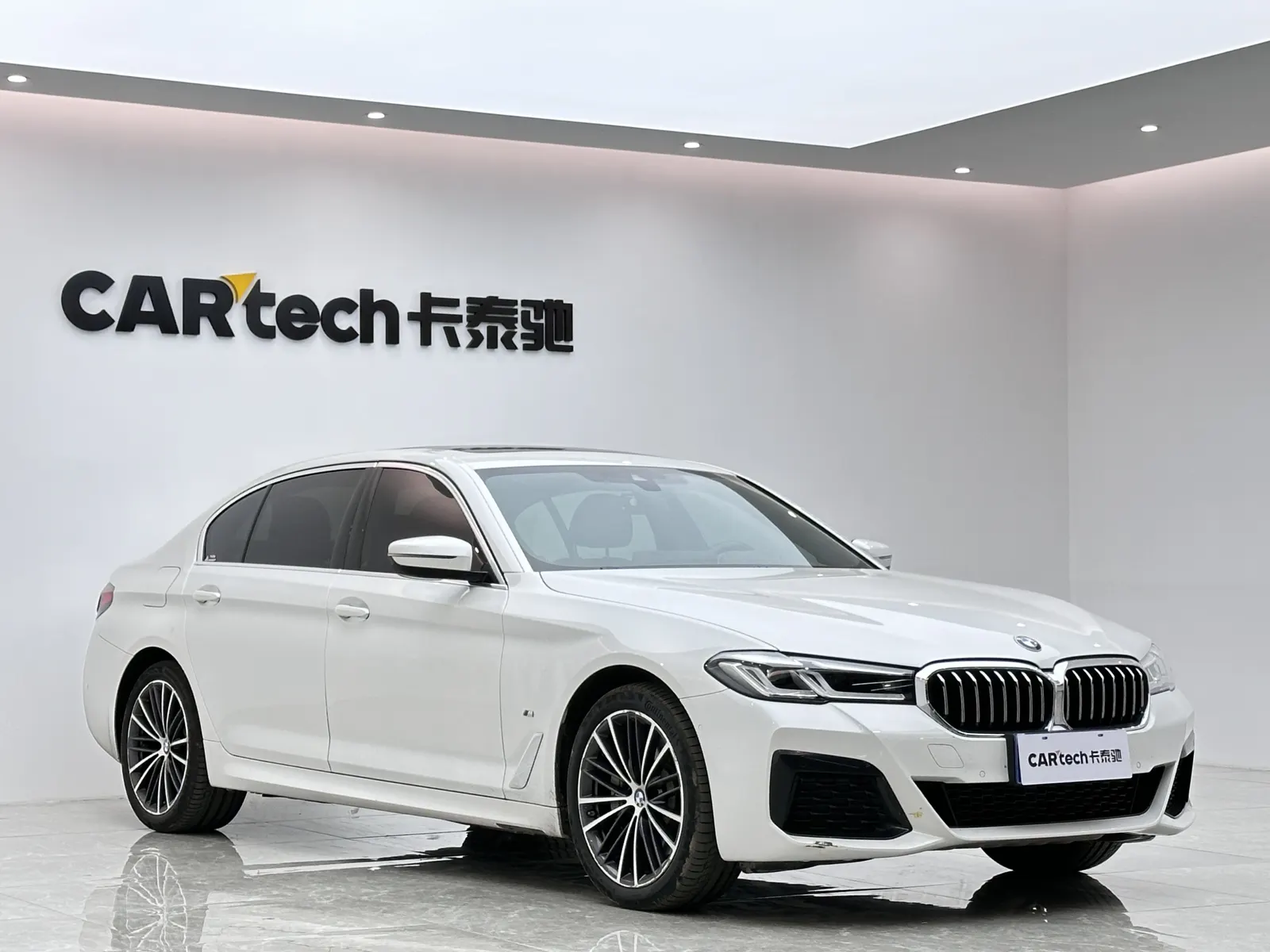 BMW 530Li, 2021 6