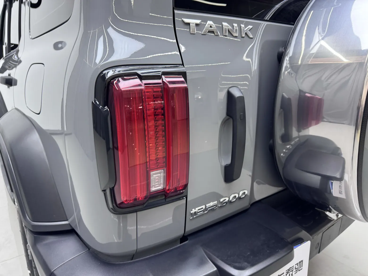 Tank 300, 2023 6