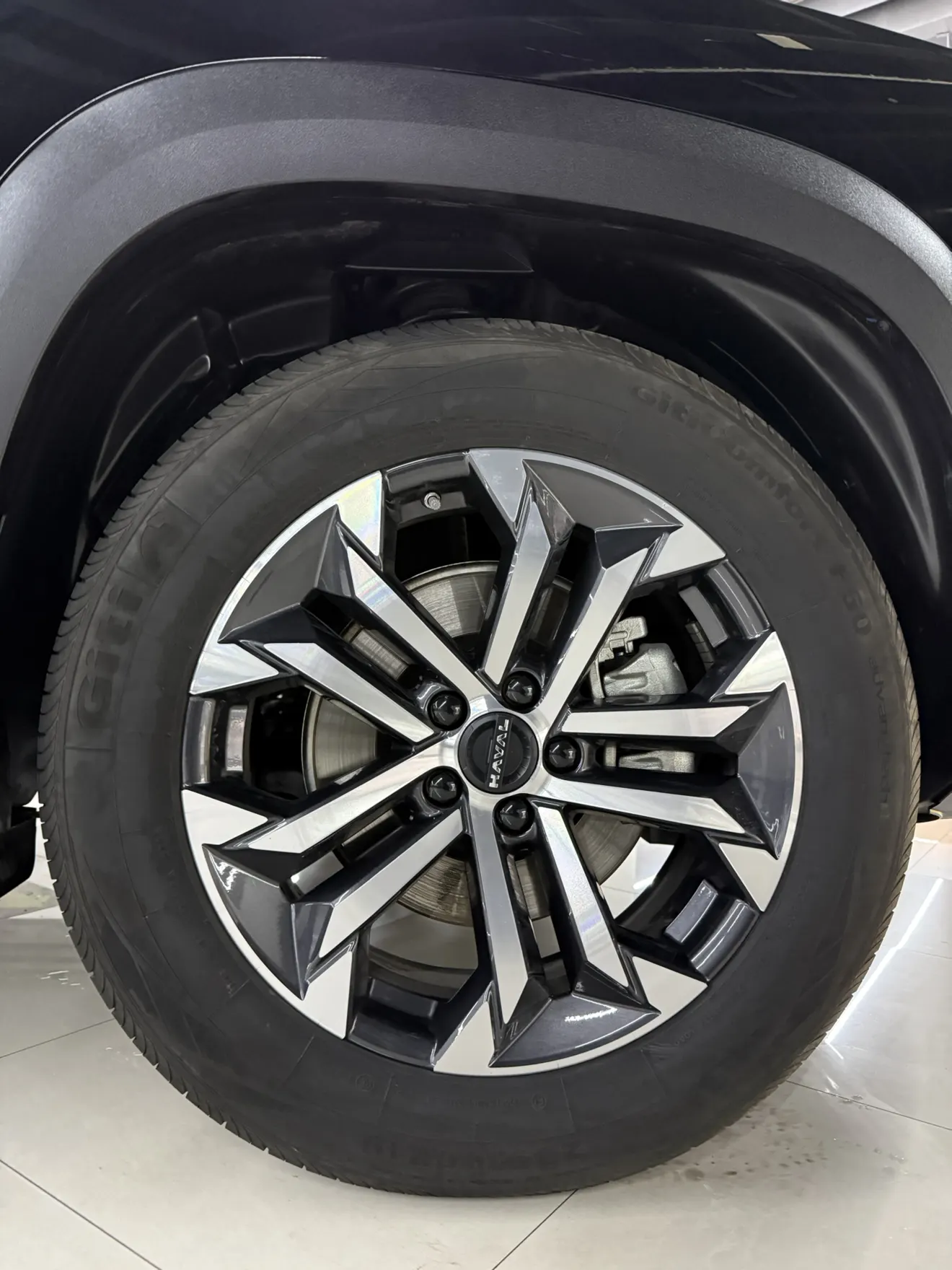 Haval Big Dog, 2025 6