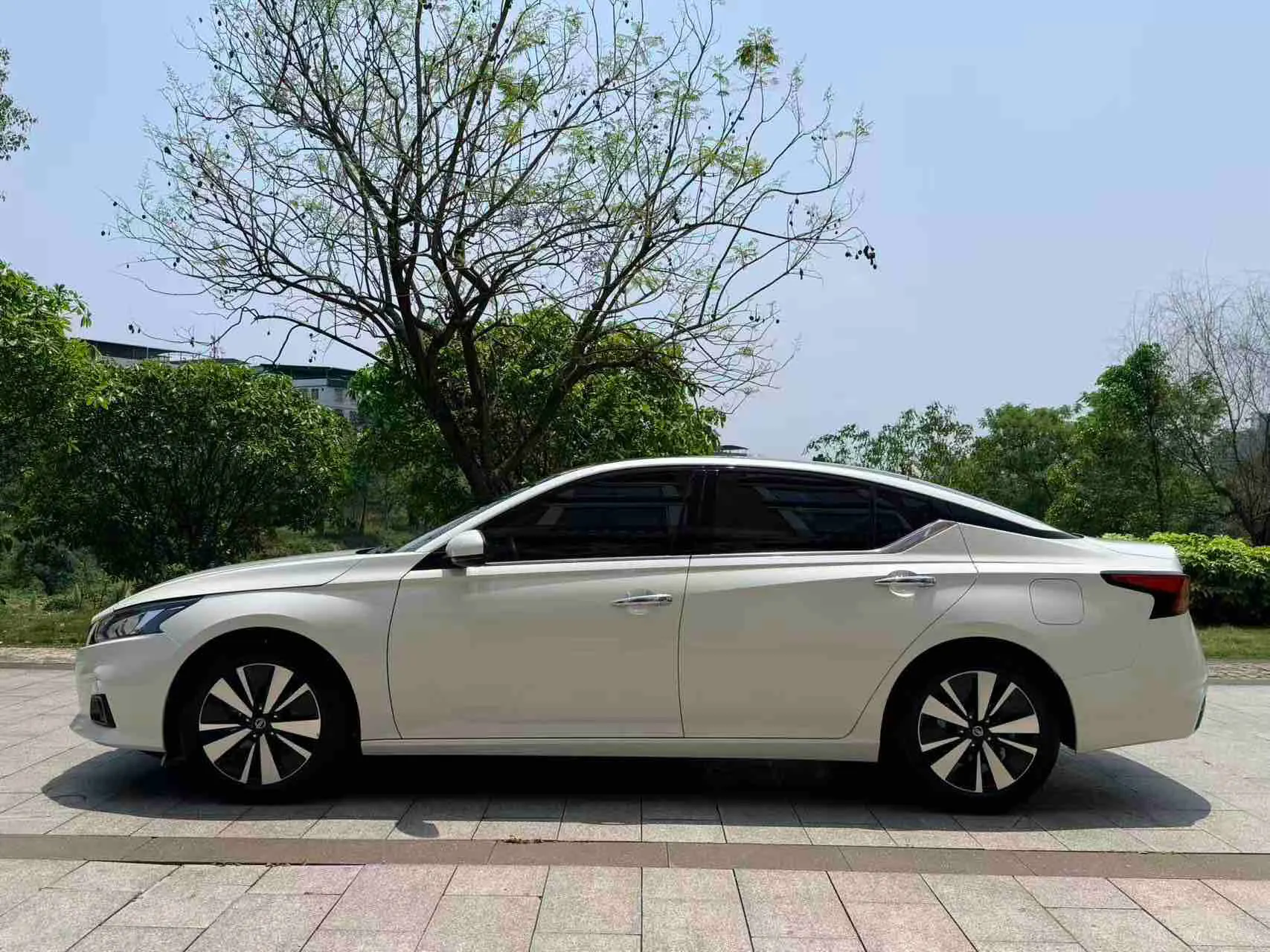 Nissan Teana, 2022 6