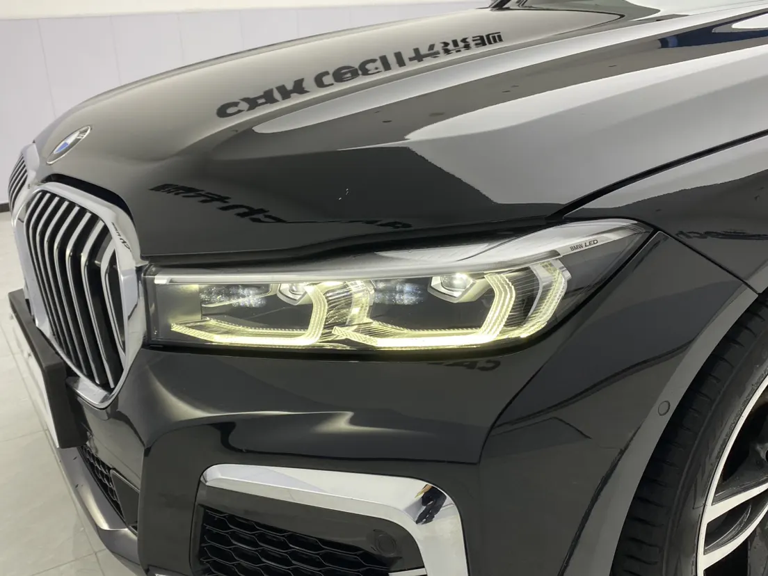 BMW 730Li, 2022 9