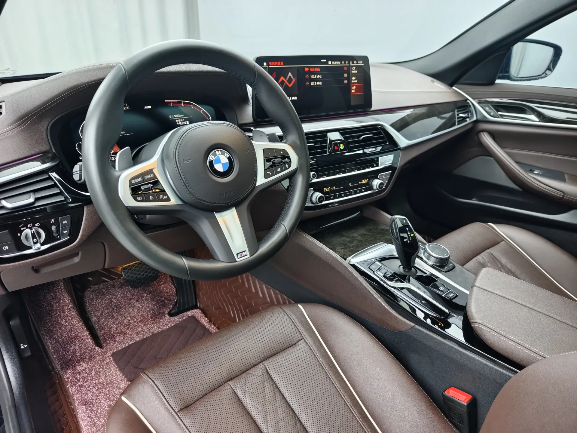 BMW 530Li, 2022 17