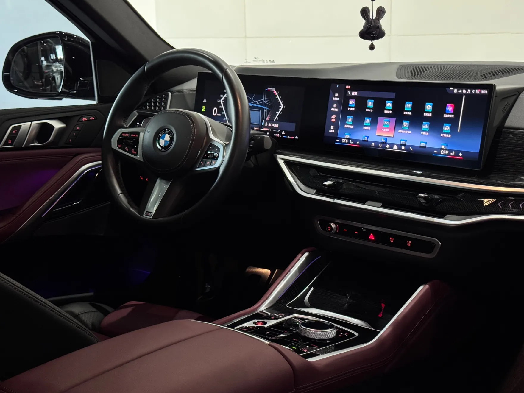 BMW X6, 2025 36