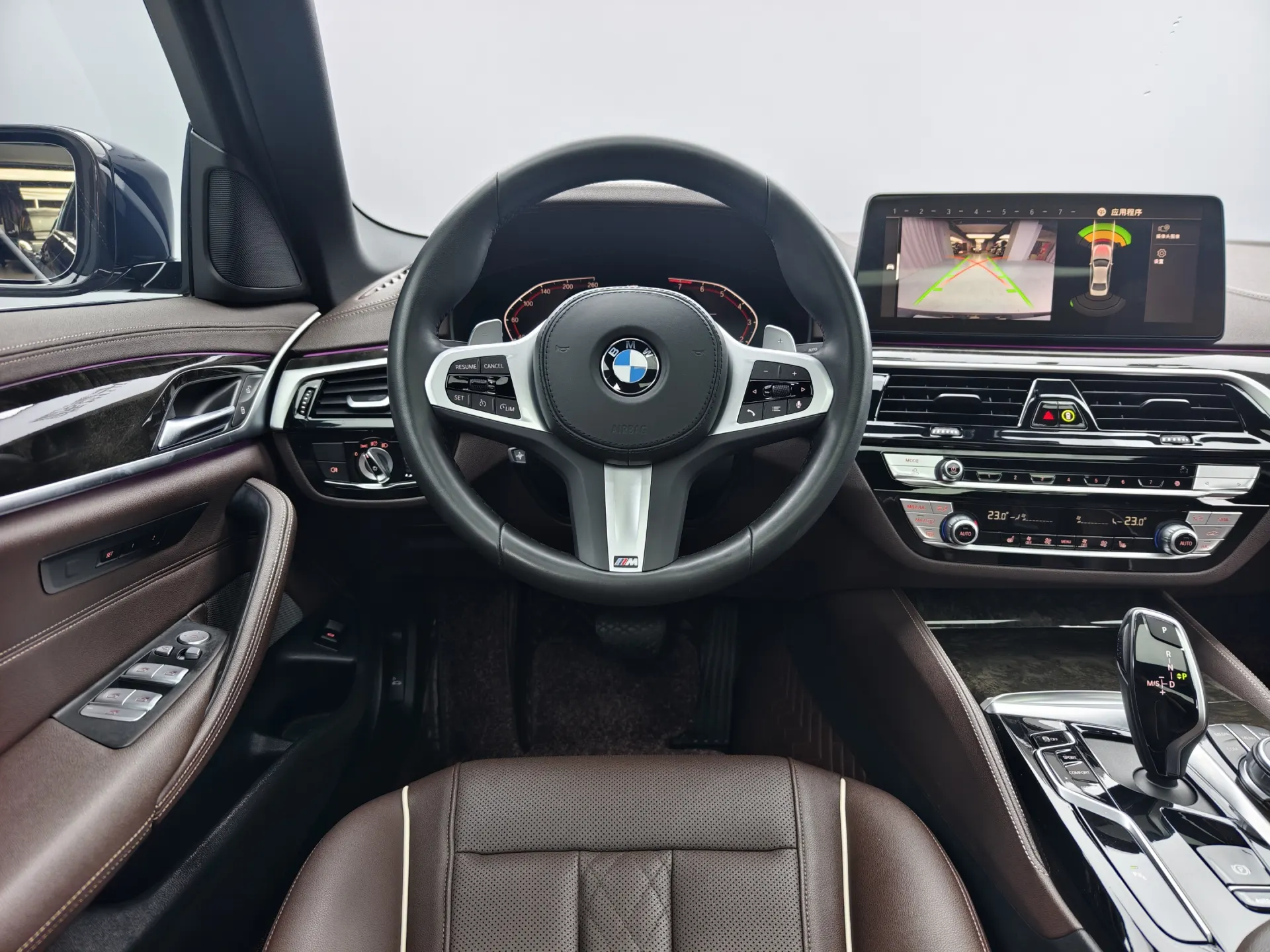 BMW 530Li, 2022 8