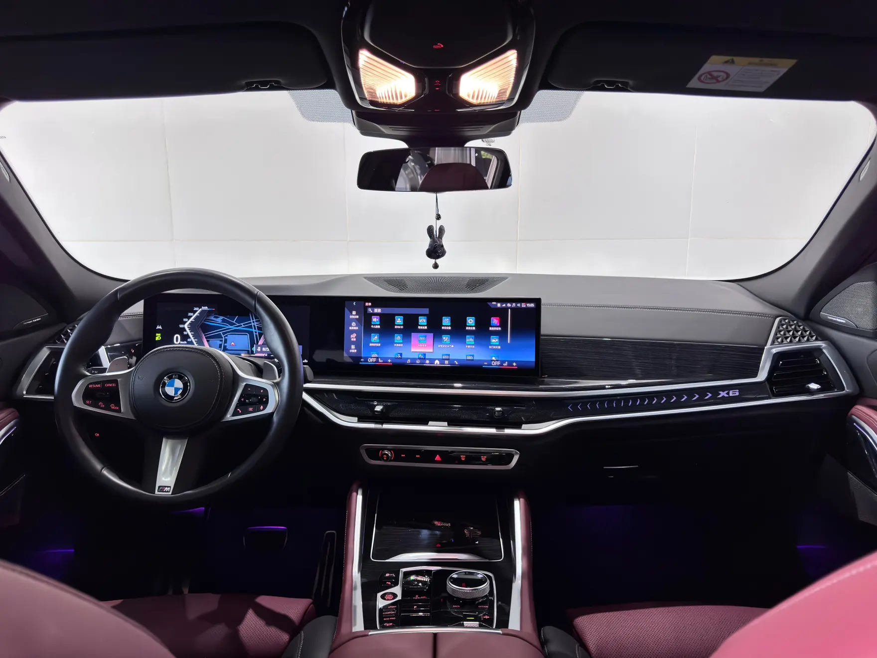 BMW X6, 2025 18