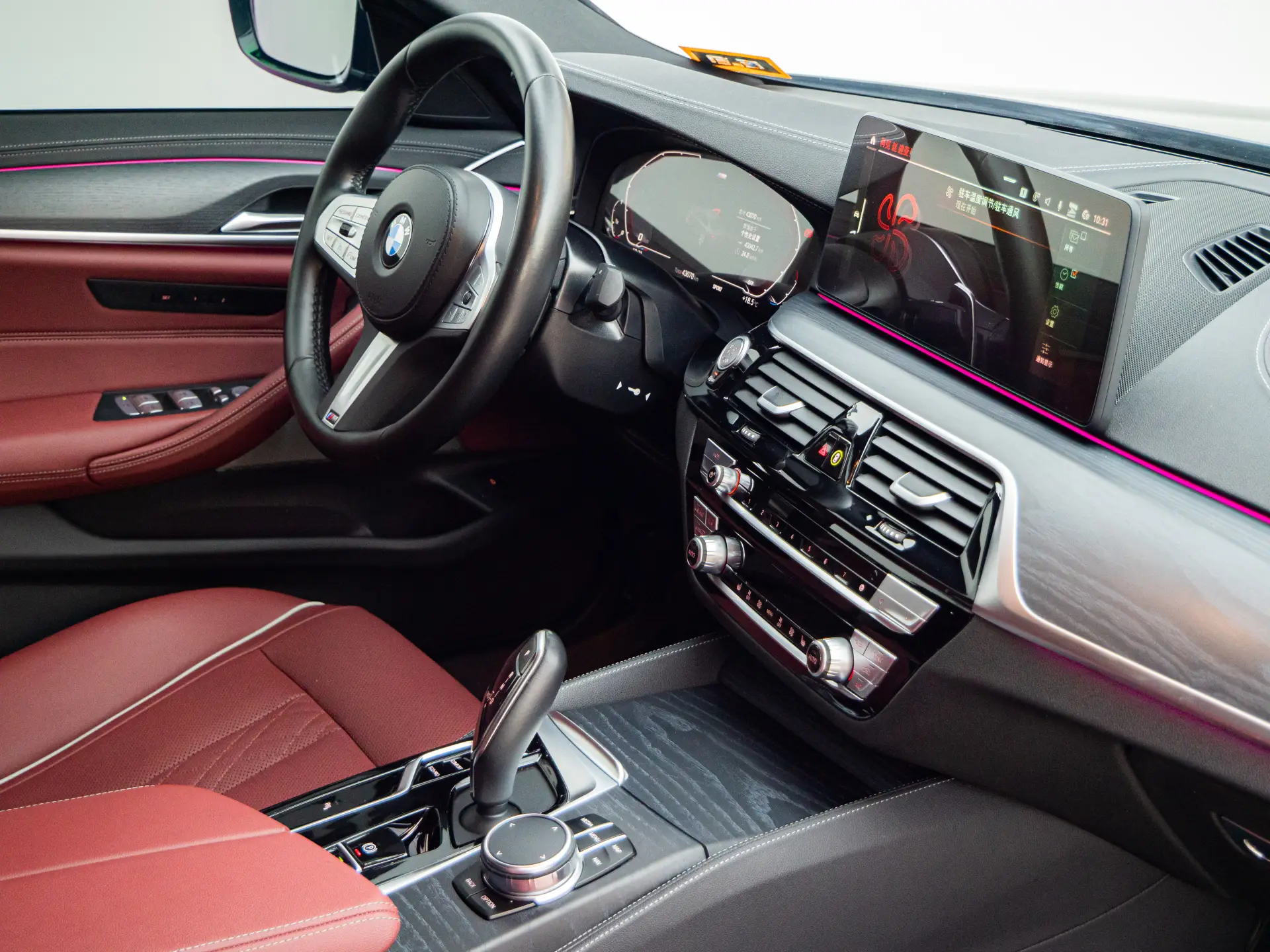 BMW 530Li, 2023 23