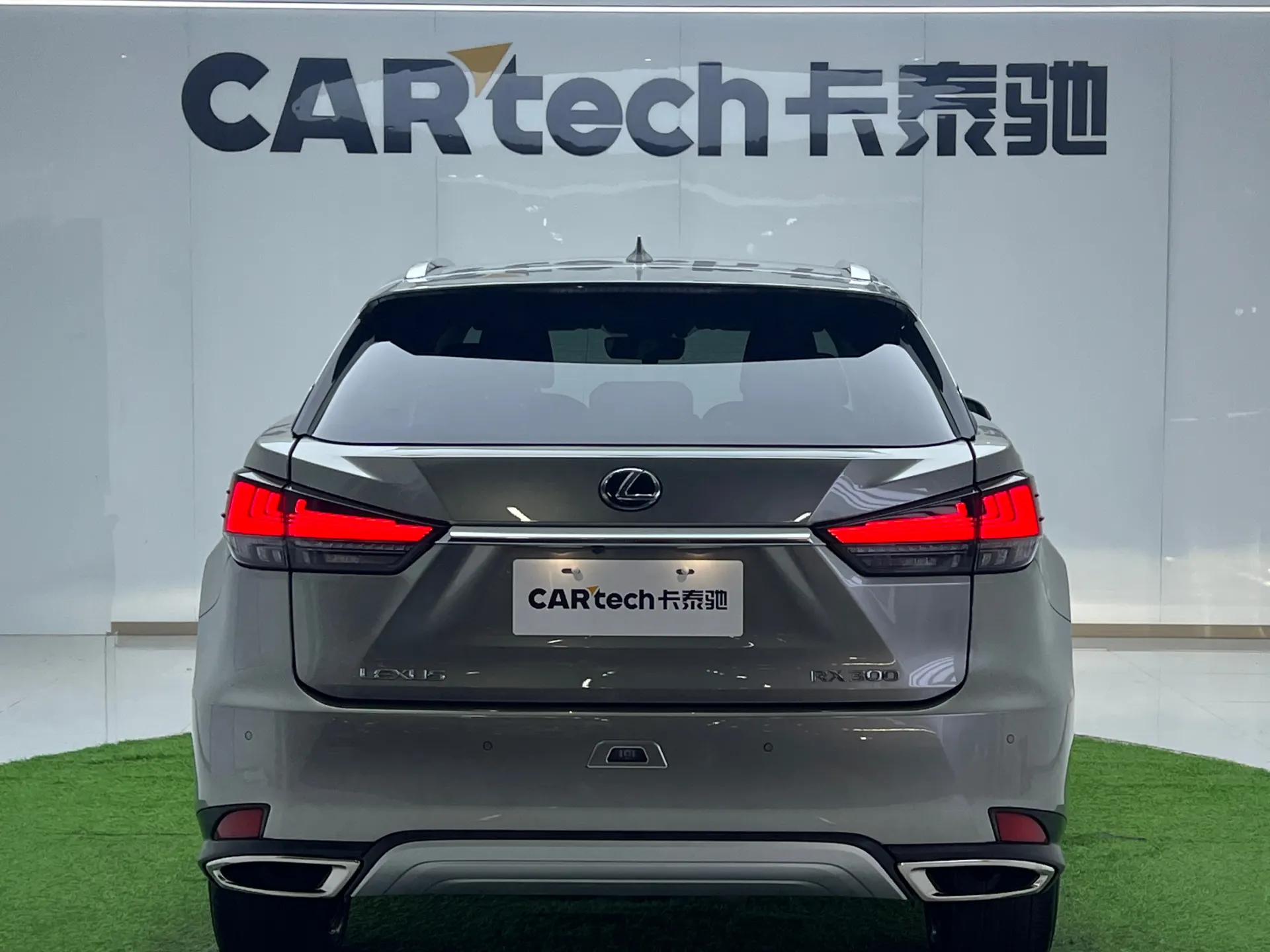 Lexus RX 300, 2022 18