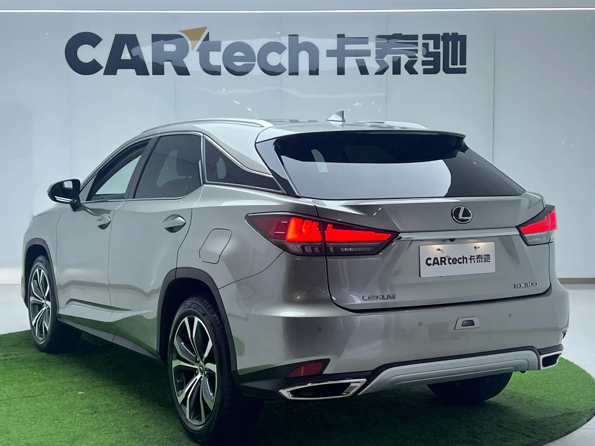 Lexus RX 300, 2022 19