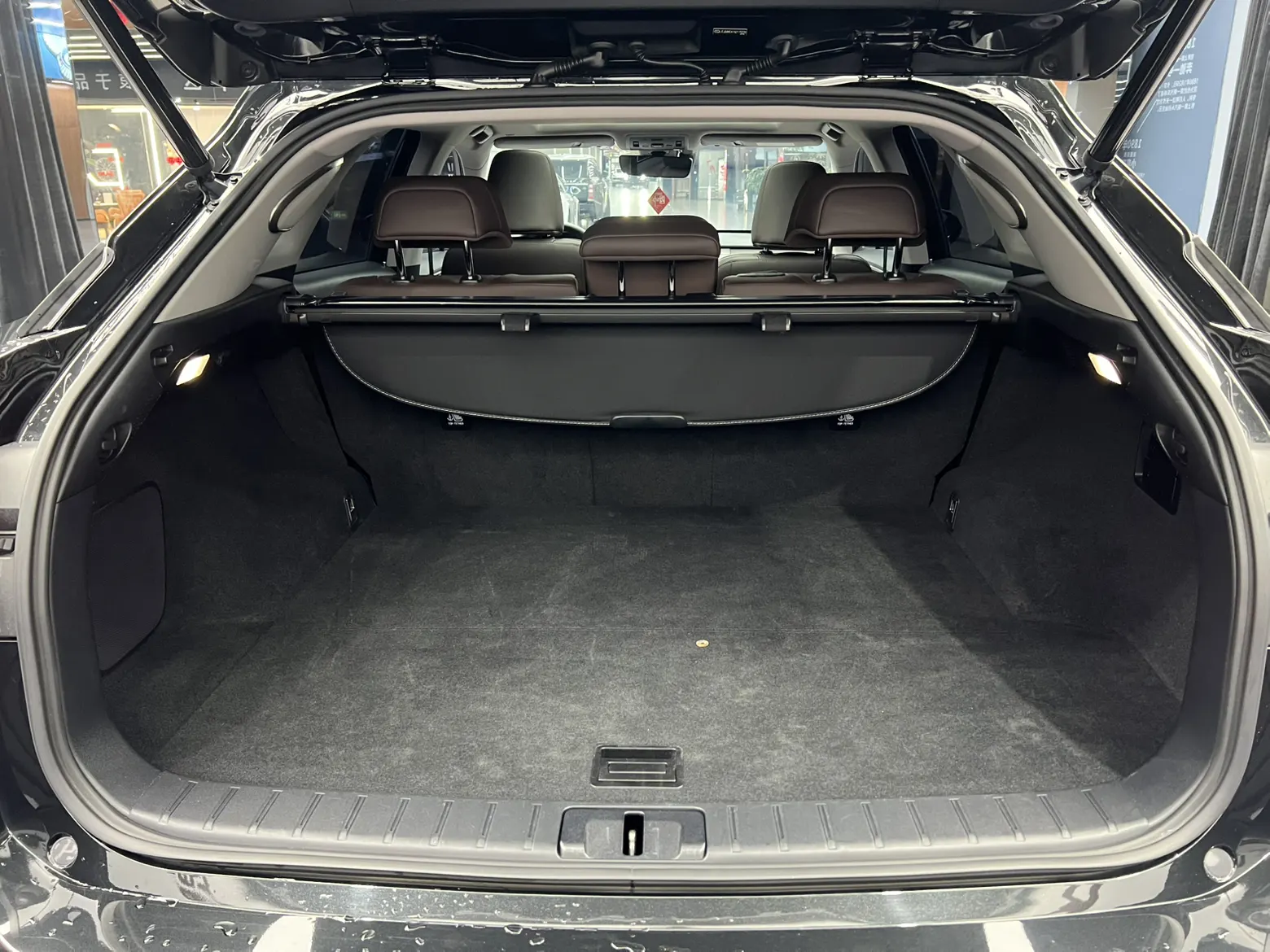 Lexus RX 300, 2022 13