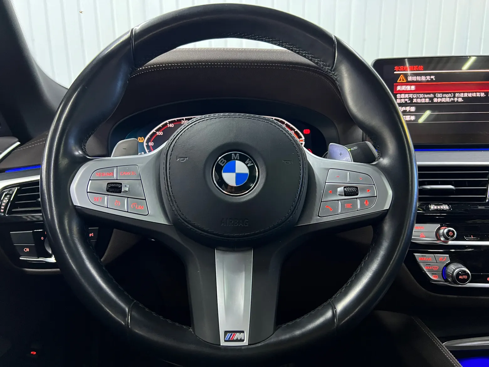 BMW 530Li, 2023 10