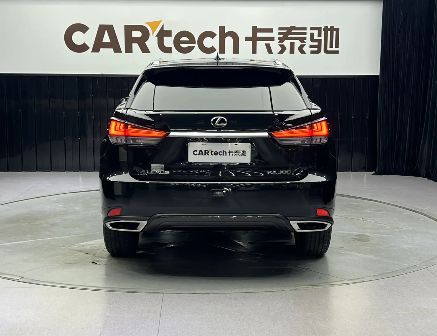 Lexus RX 300, 2022 6