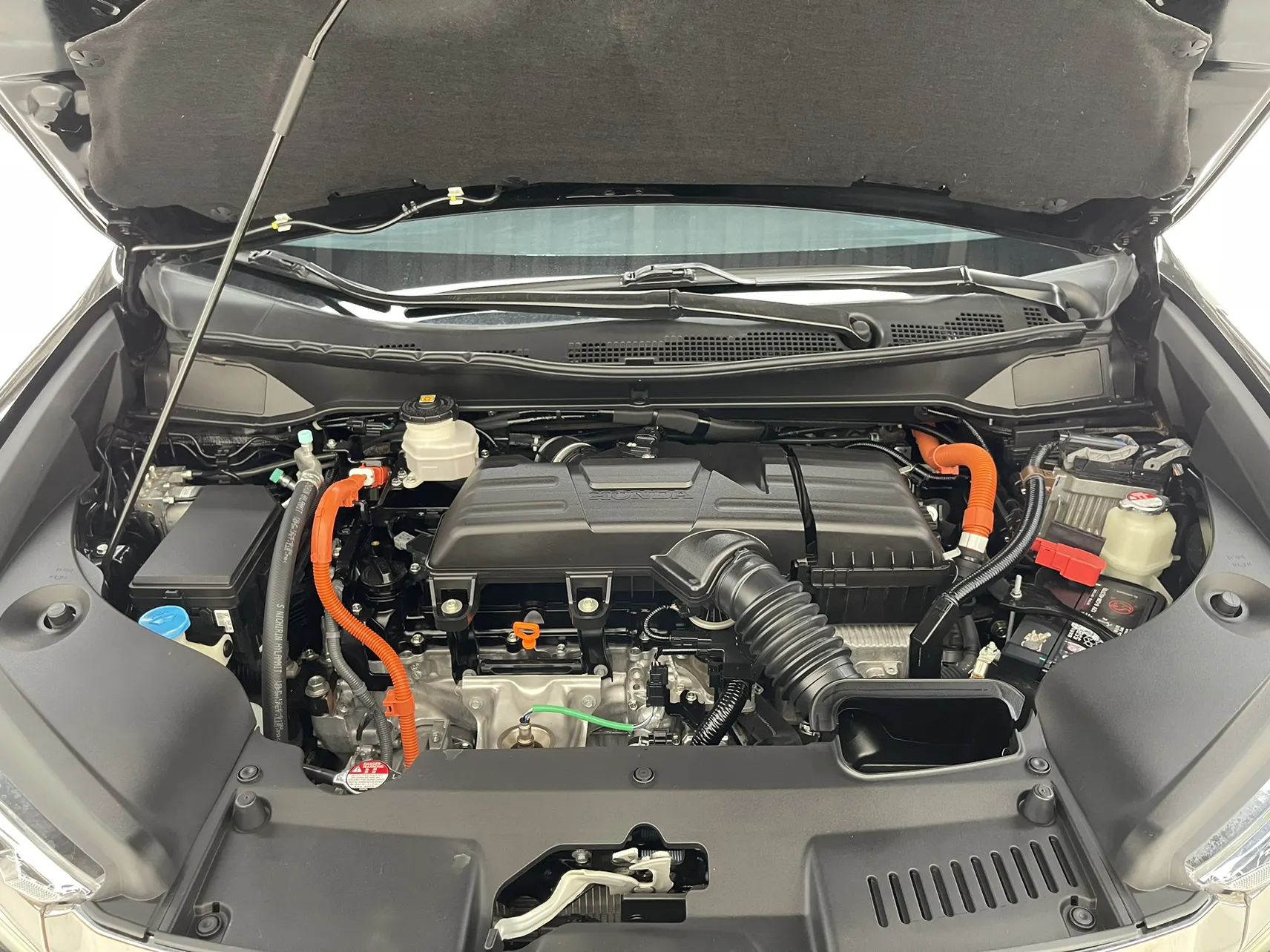 Honda Elysion, 2024 11