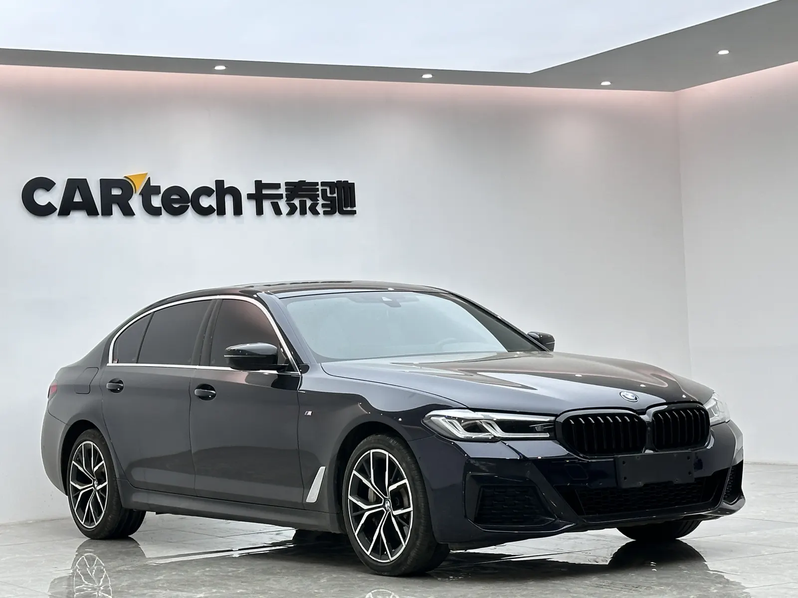 BMW 530Li, 2022 6