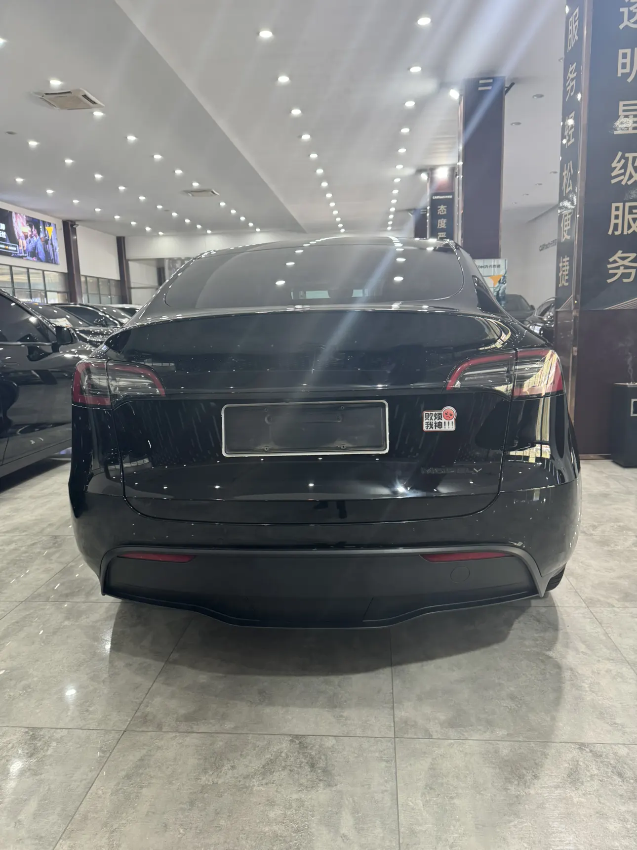 Tesla Model Y, 2021 все фото