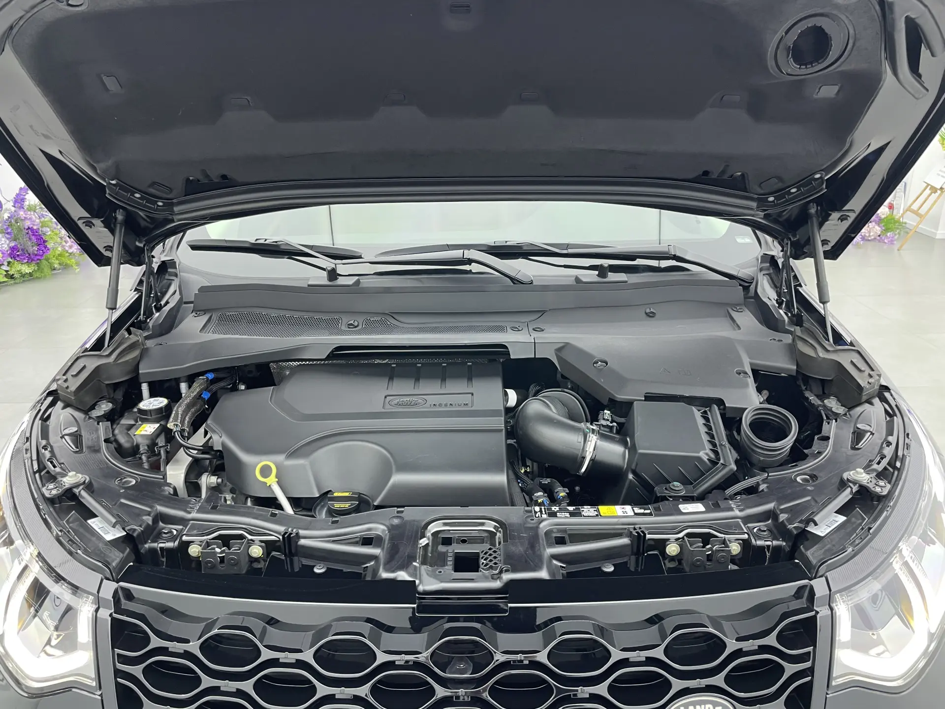 Land Rover Discovery Sport, 2024 26