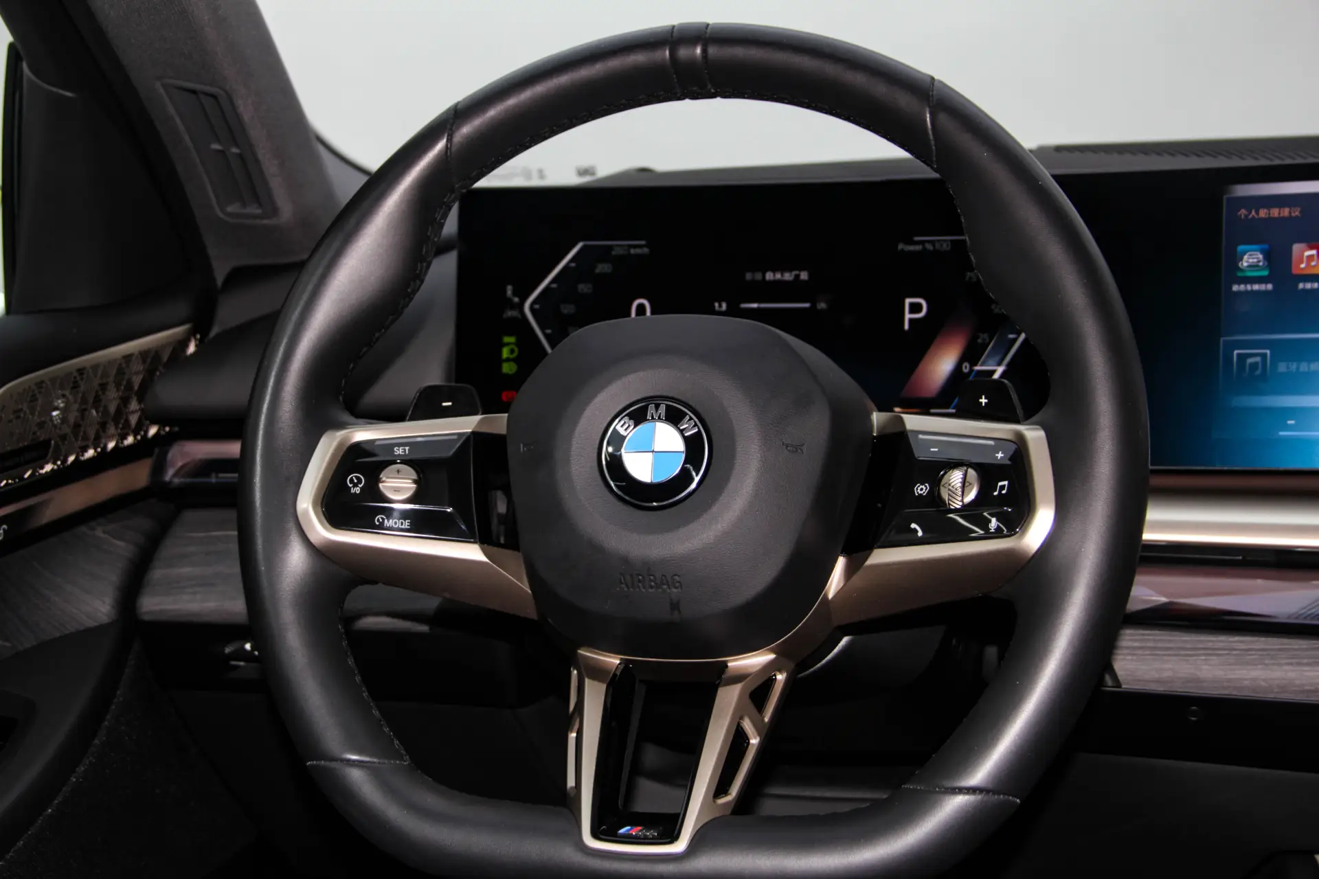 BMW 530Li, 2025 14