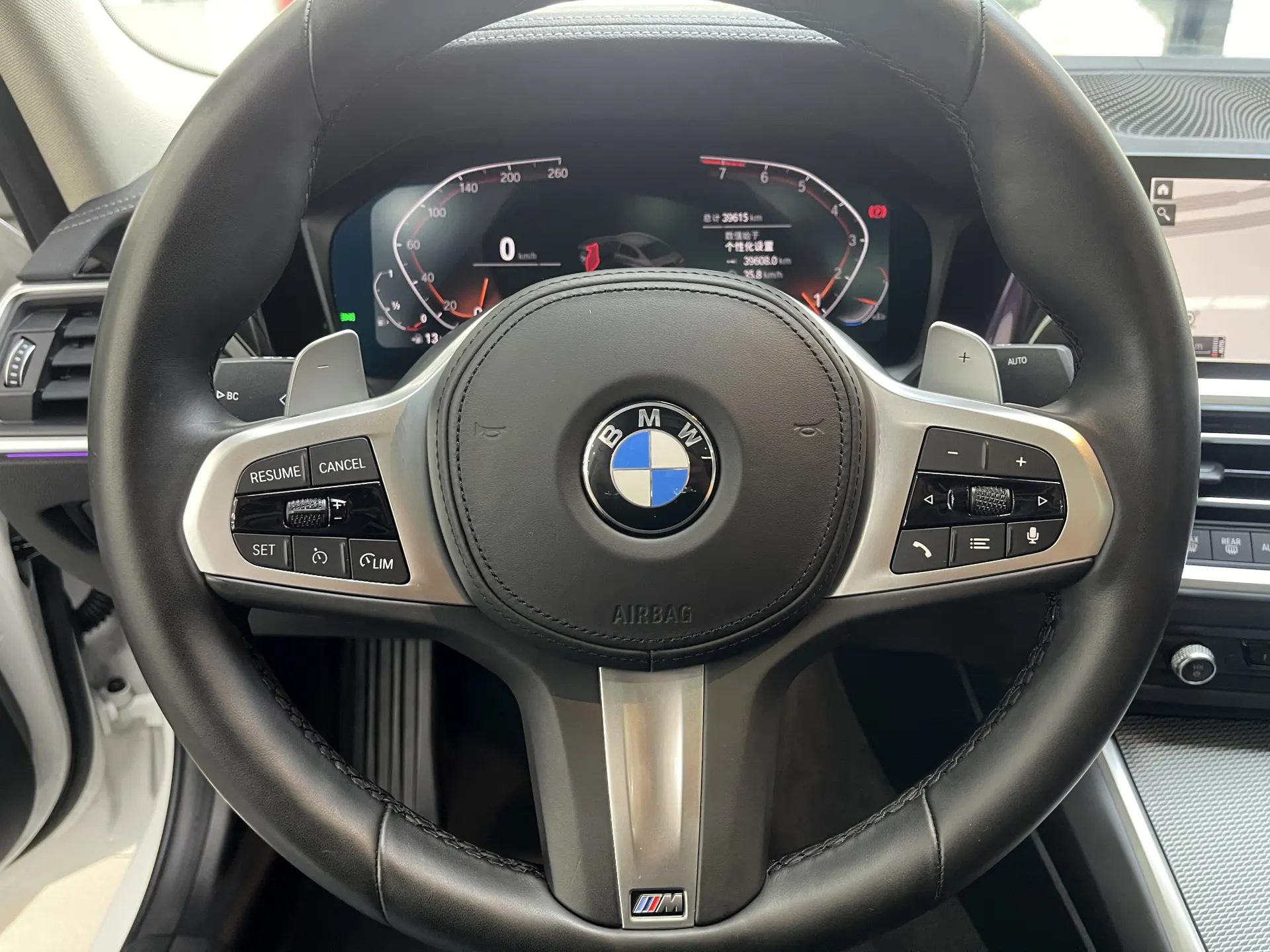 BMW 325Li, 2022 13