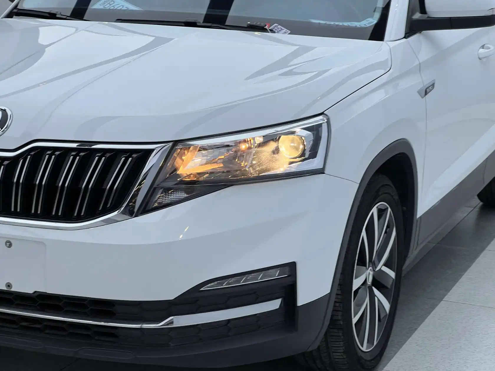 Skoda Kamiq, 2023 все фото