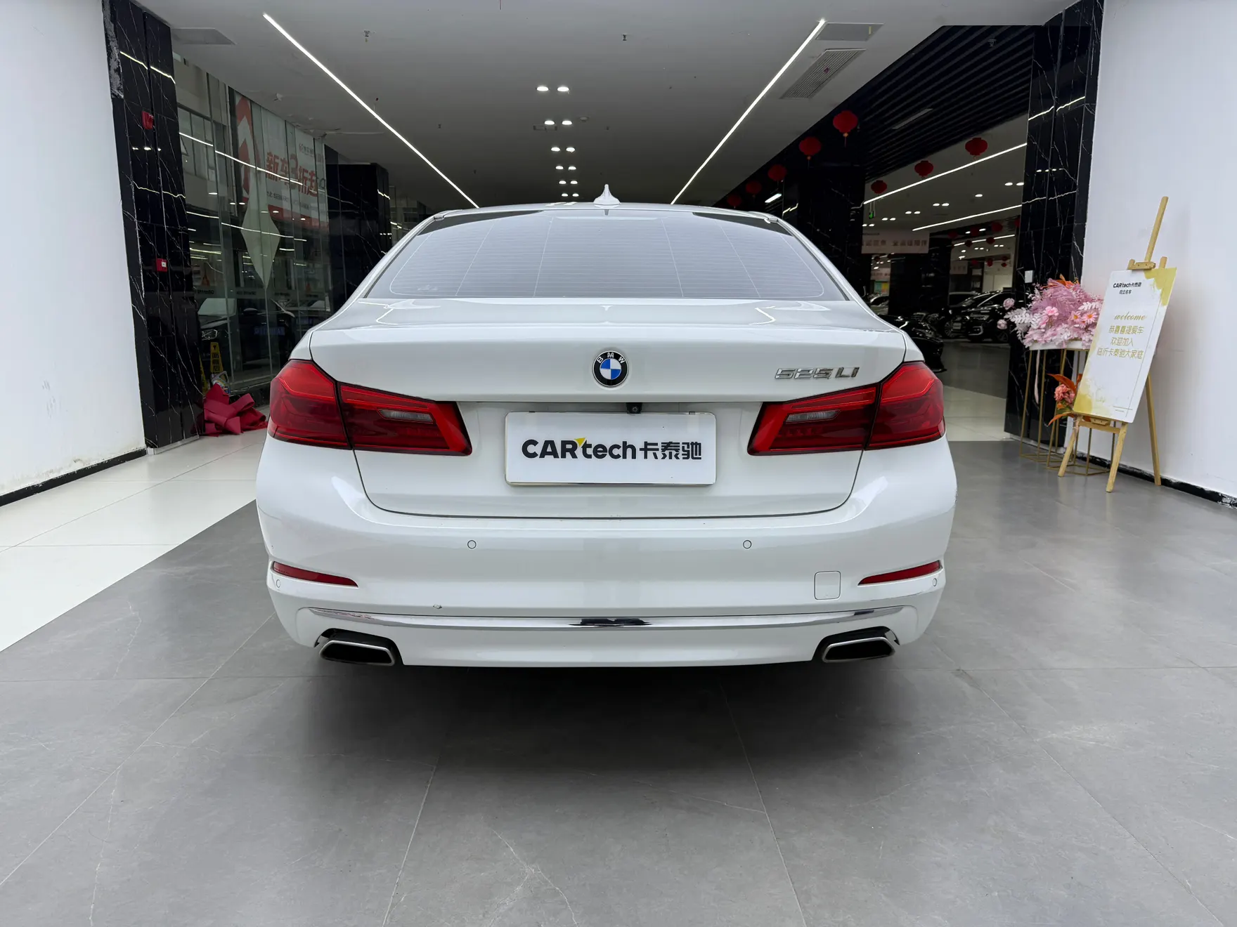 BMW 525Li, 2019 6