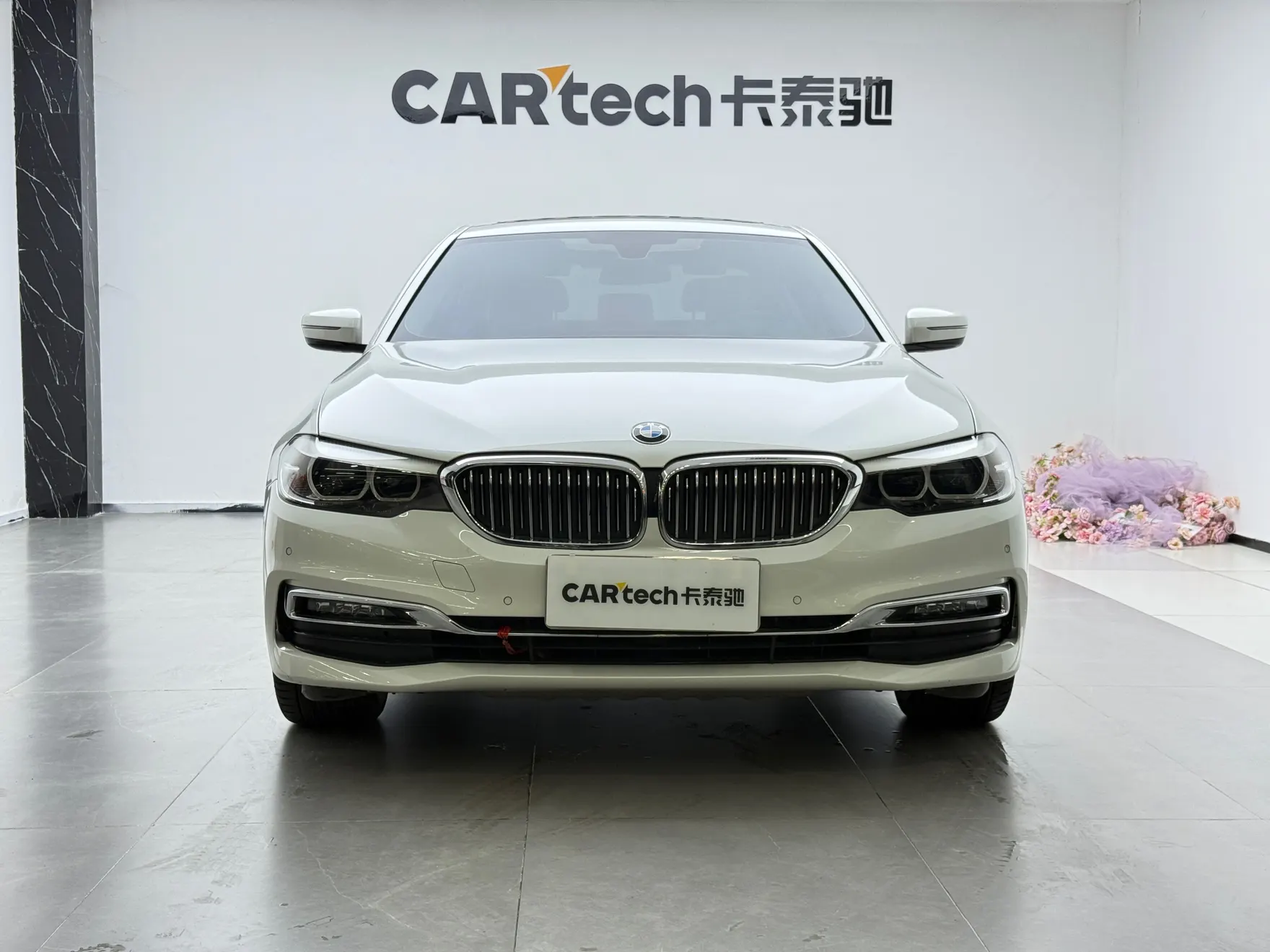 BMW 525Li, 2019 3