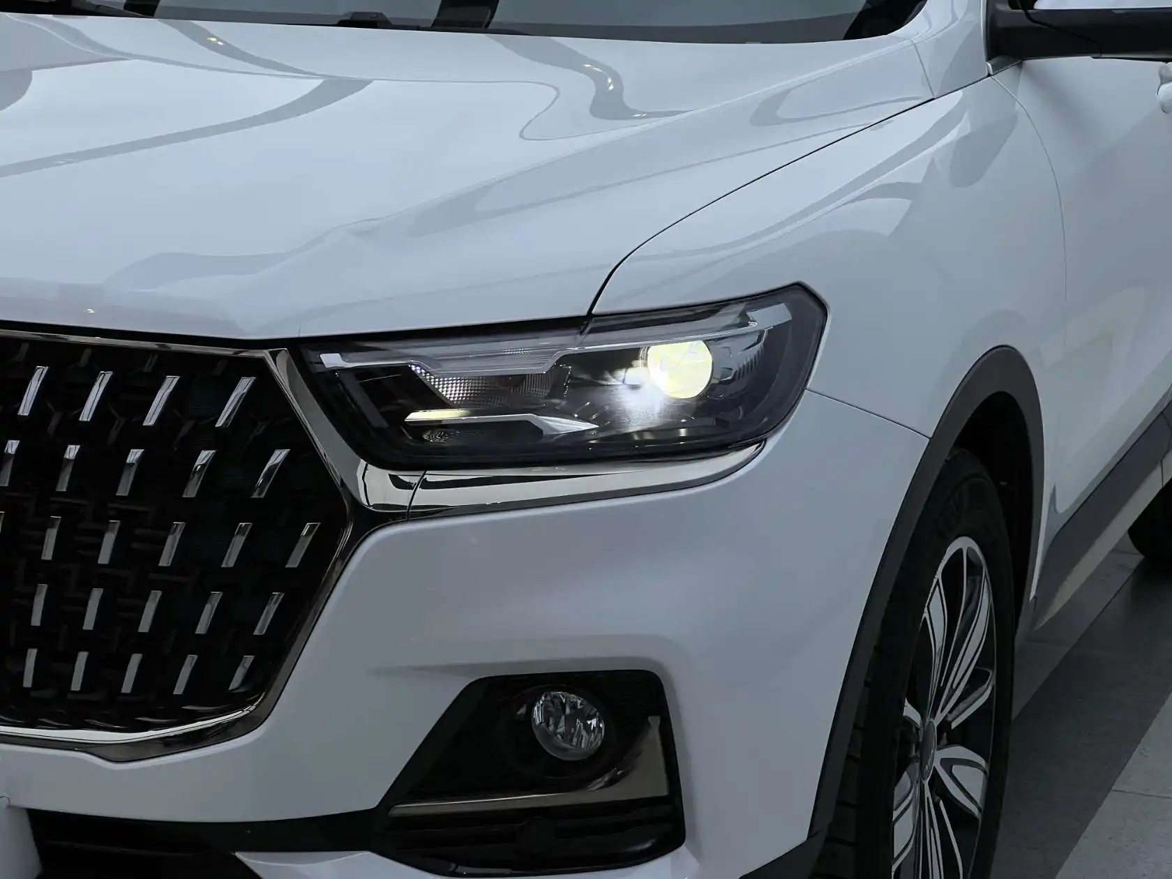 Haval H6, 2023 все фото