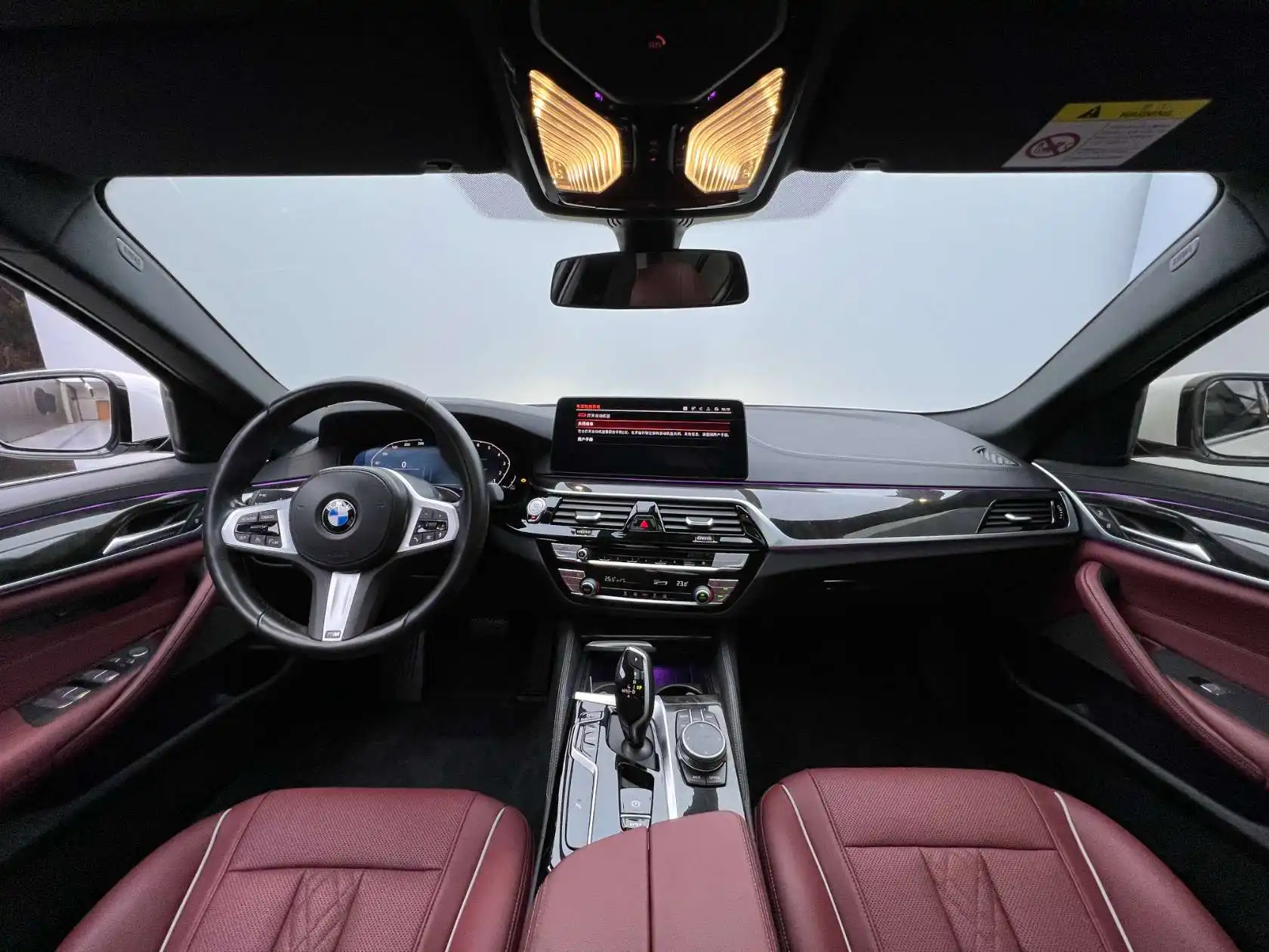 BMW 525Li, 2022 23