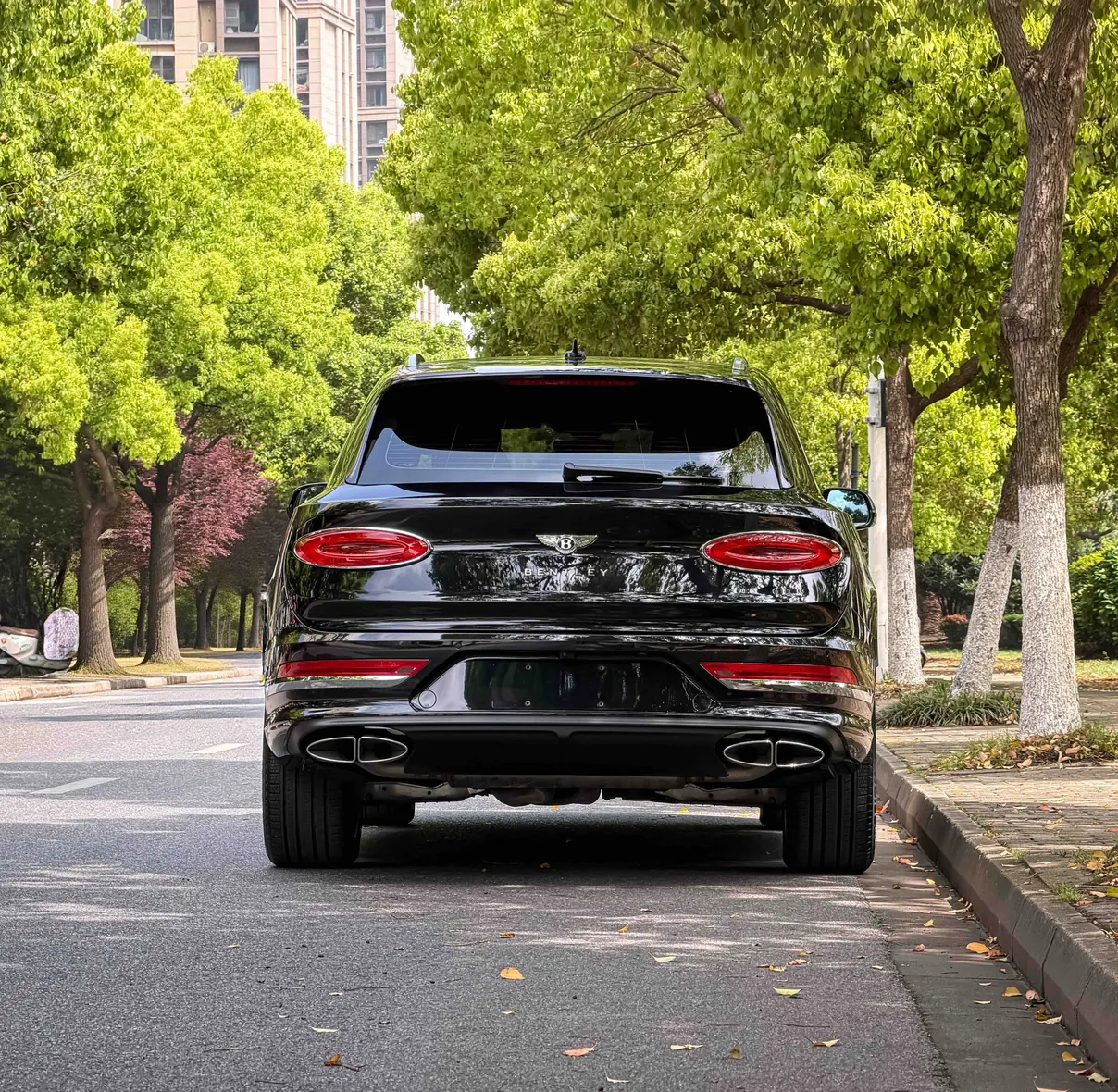 Bentley Bentayga, 2023 все фото