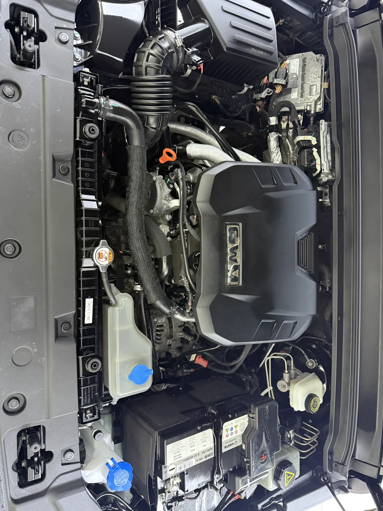 Tank 300, 2024 12