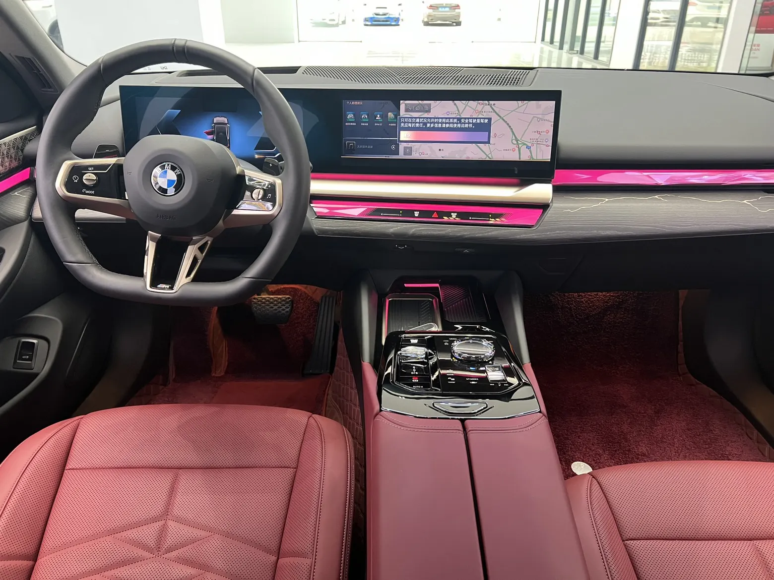BMW 530Li, 2025 19