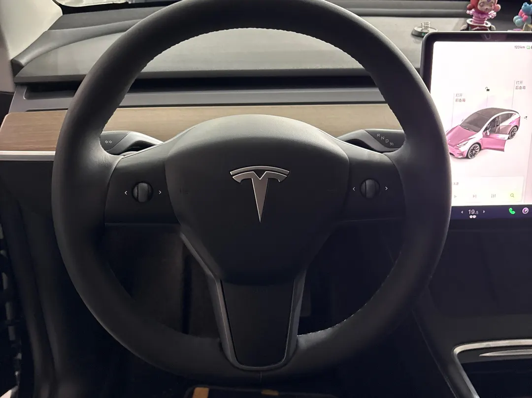 Tesla Model Y, 2021 13