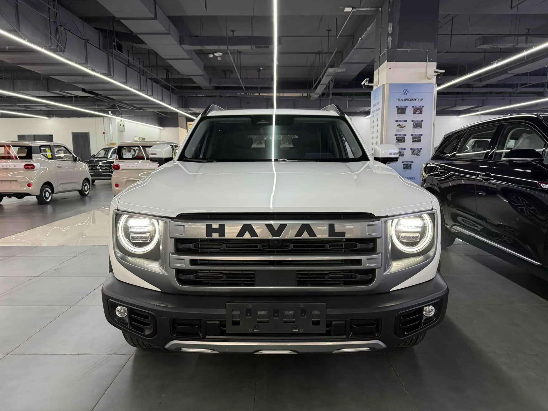 Haval Big Dog, 2024 3