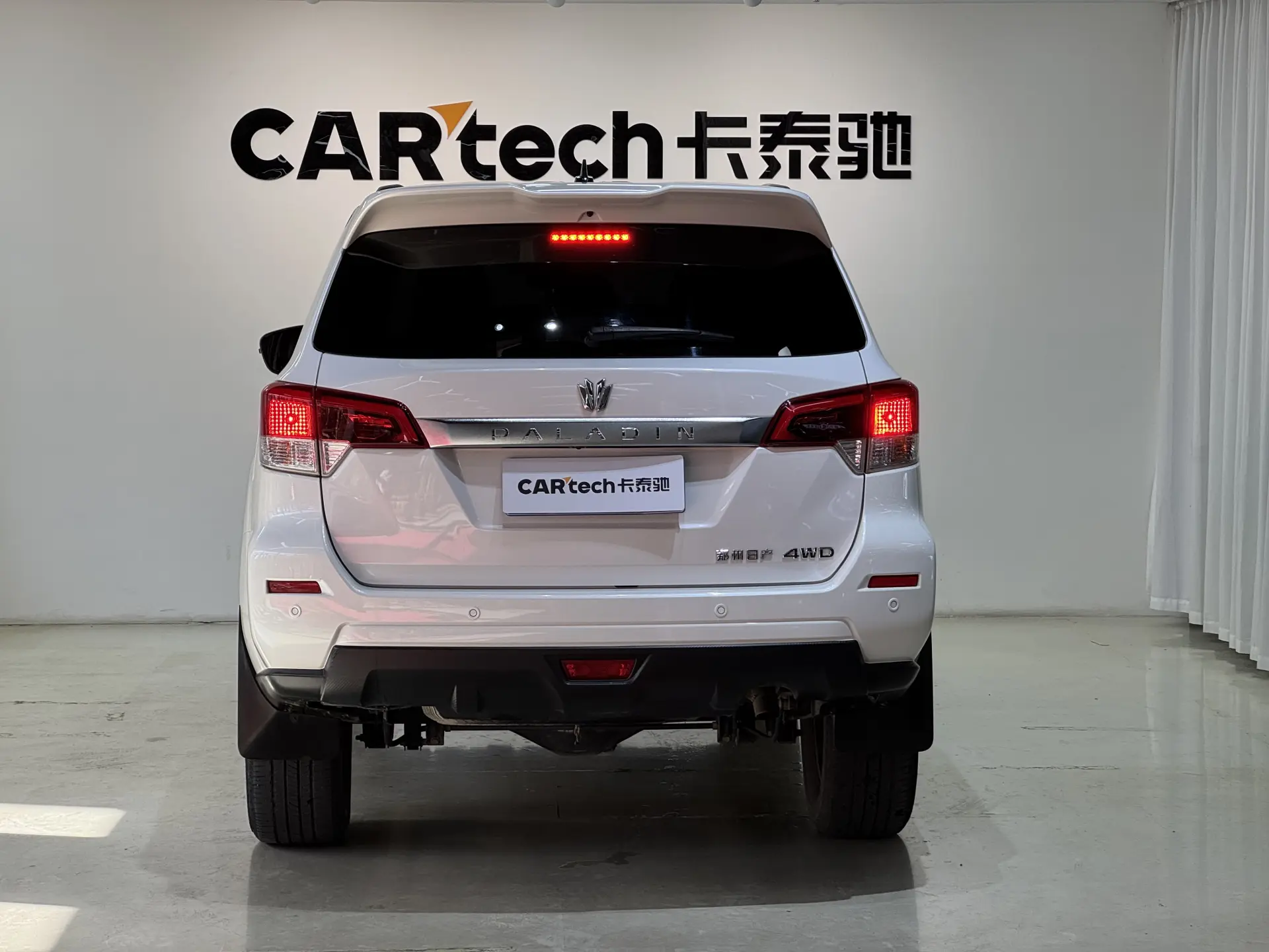DongFeng Paladin, 2024 все фото