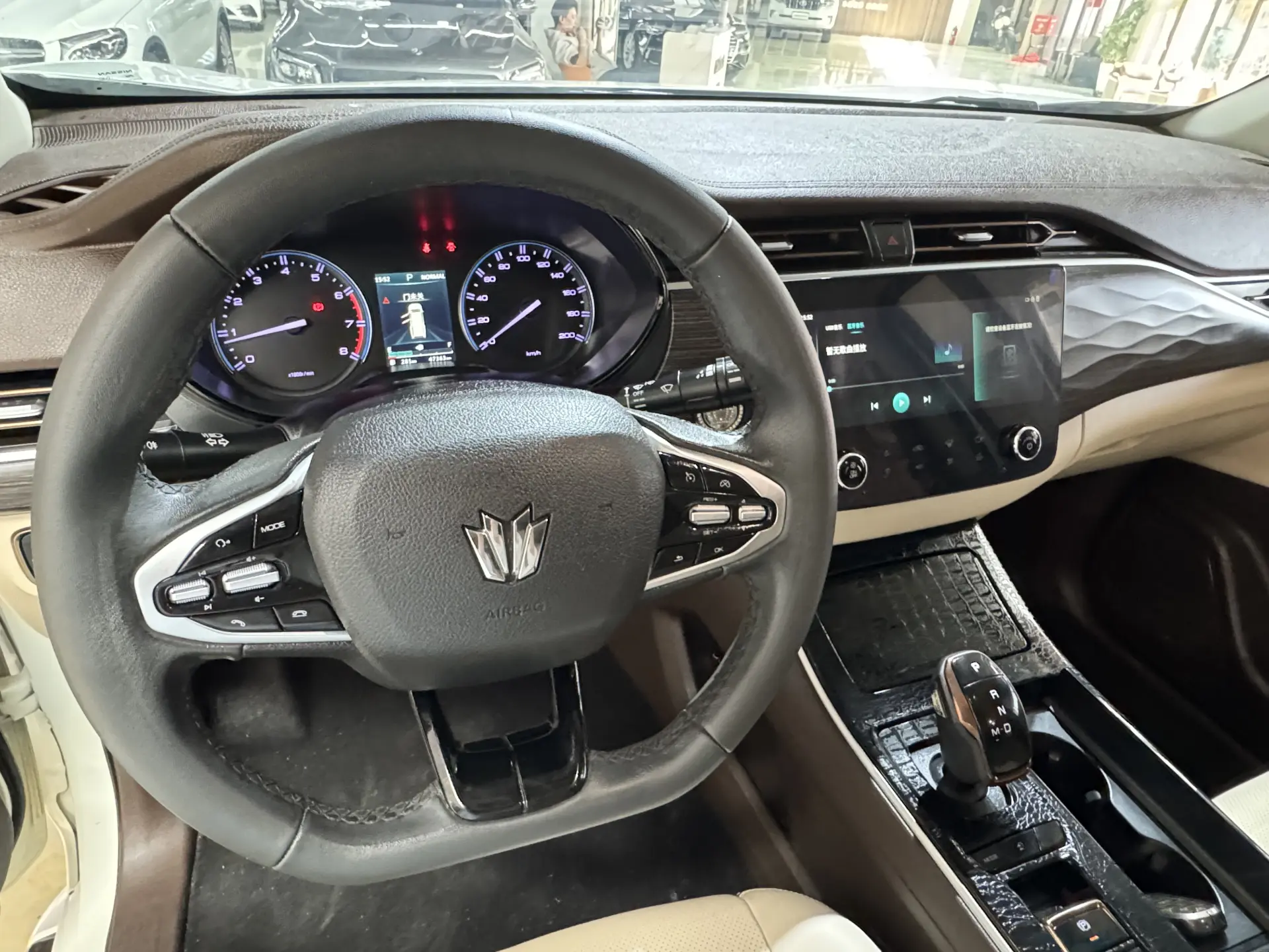DongFeng Paladin, 2024 13
