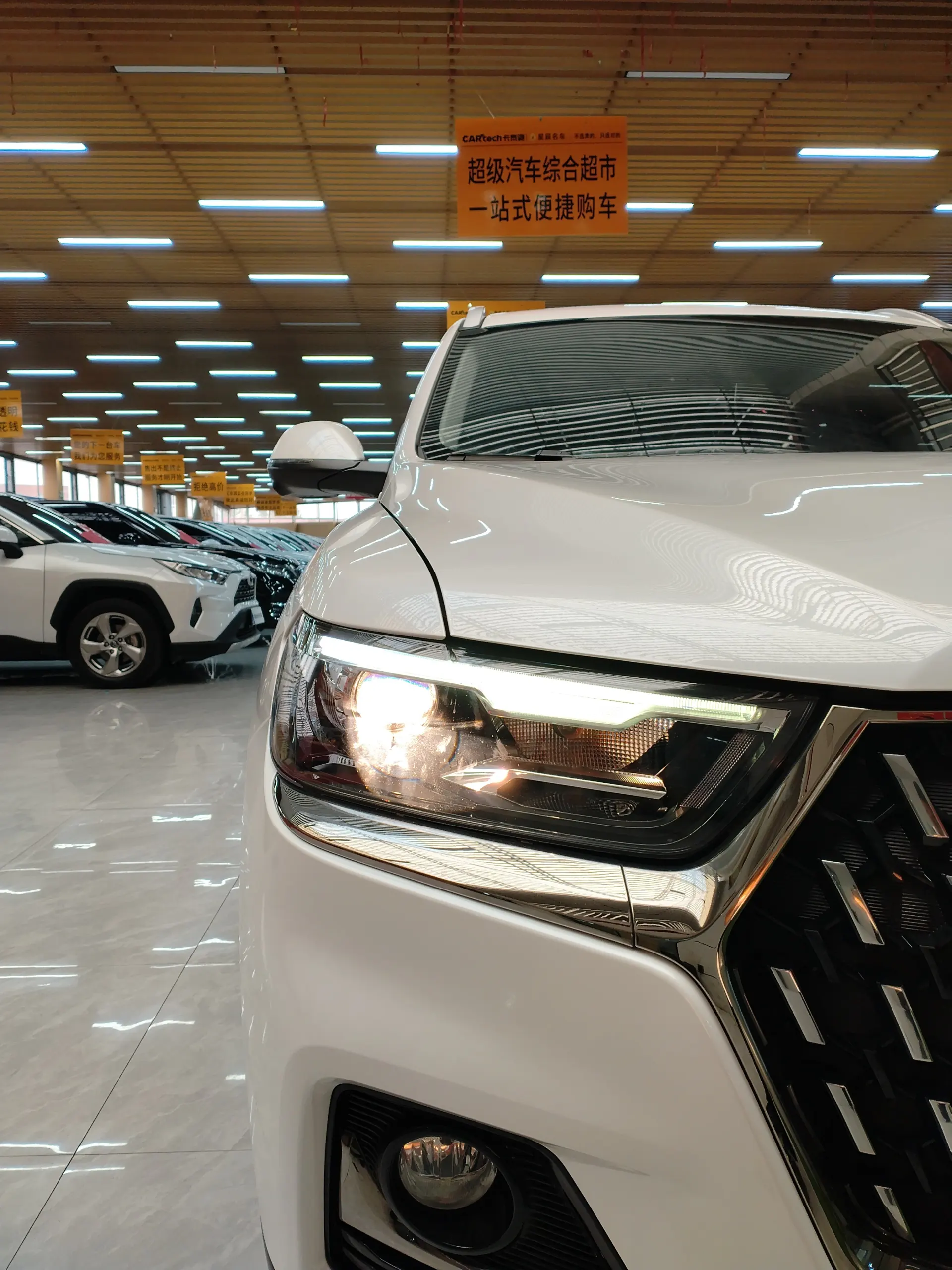 Haval H6, 2024 все фото
