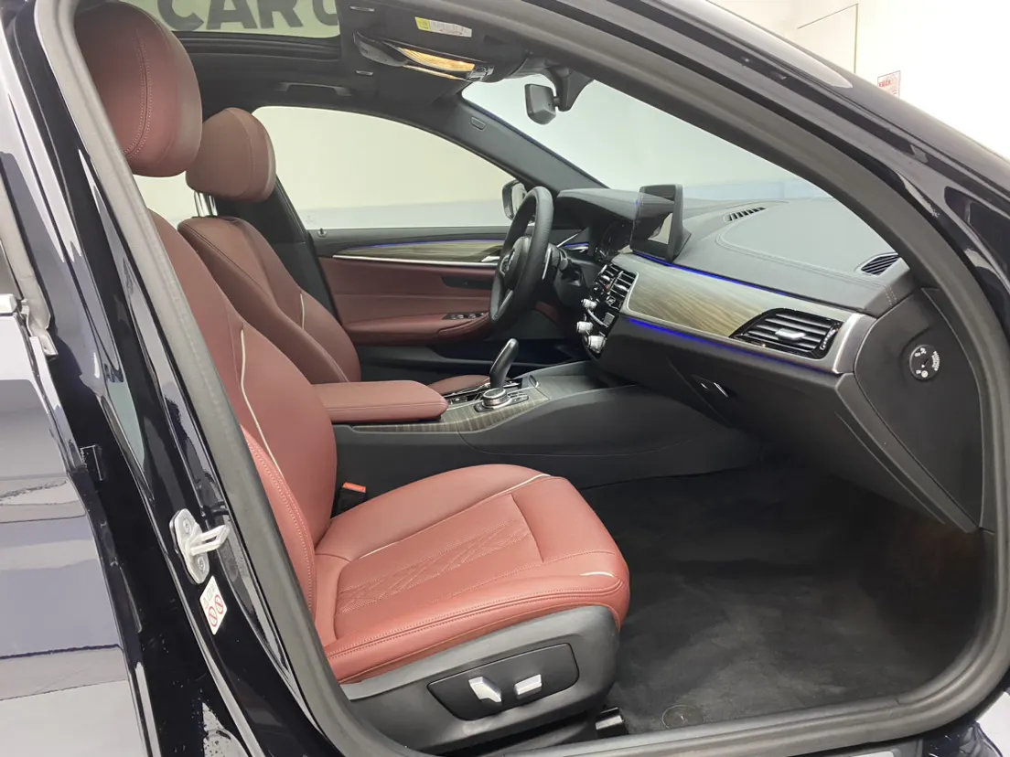 BMW 530Li, 2022 18