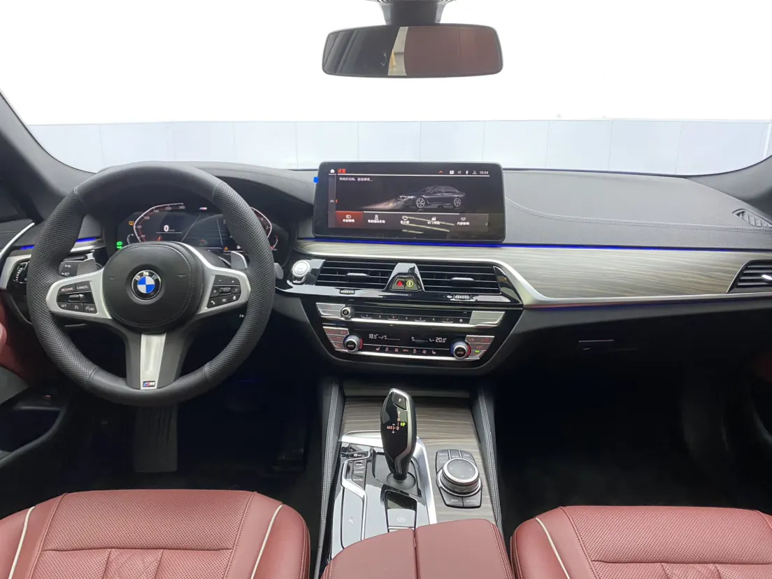 BMW 530Li, 2022 13