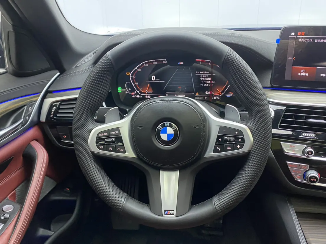 BMW 530Li, 2022 14