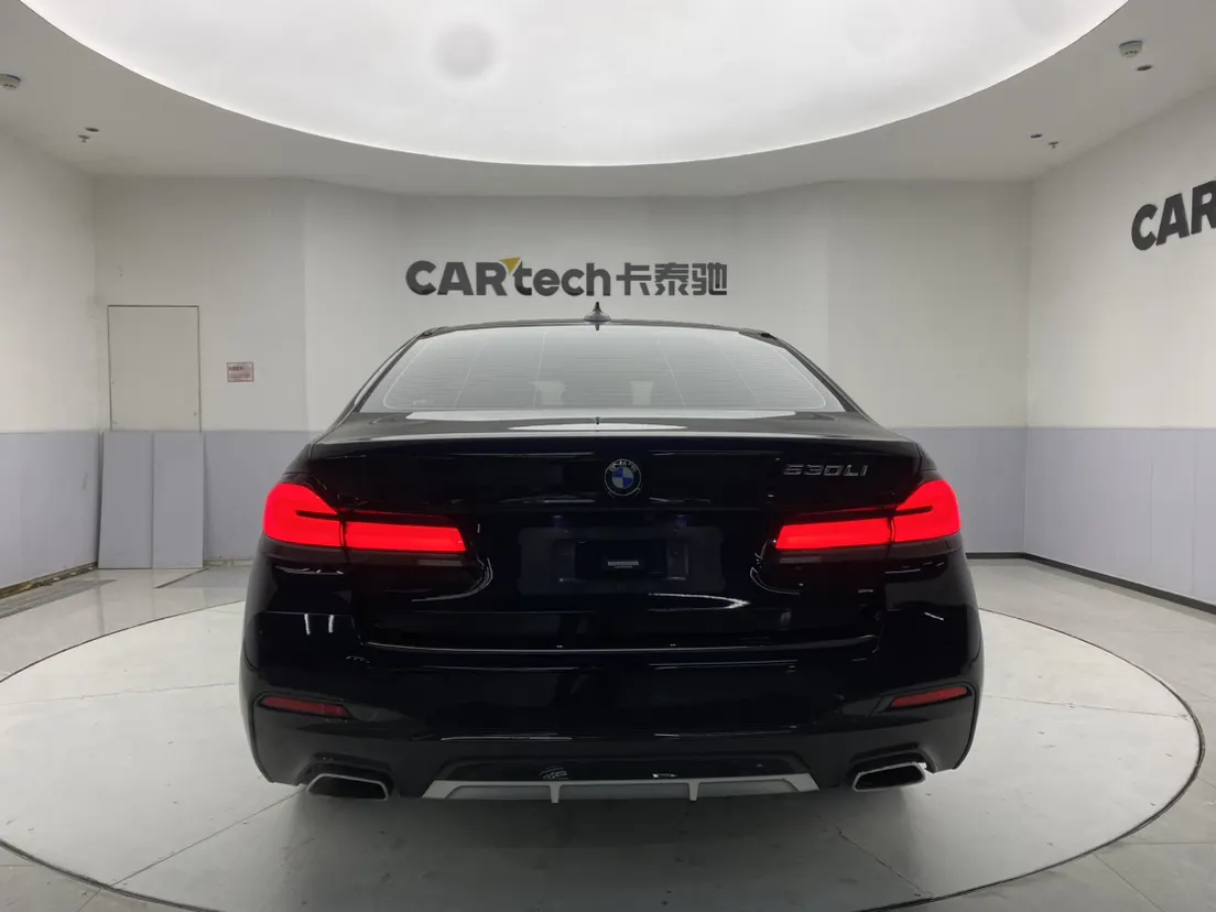 BMW 530Li, 2022 6