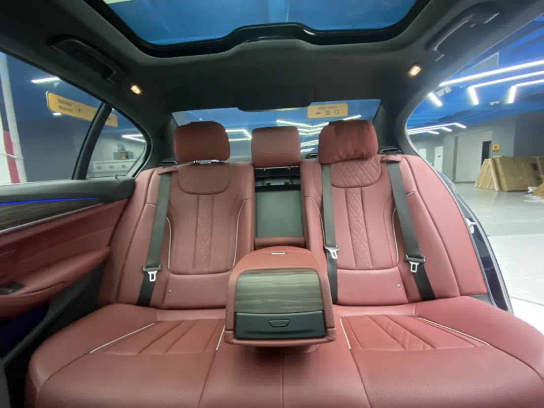 BMW 530Li, 2022 19