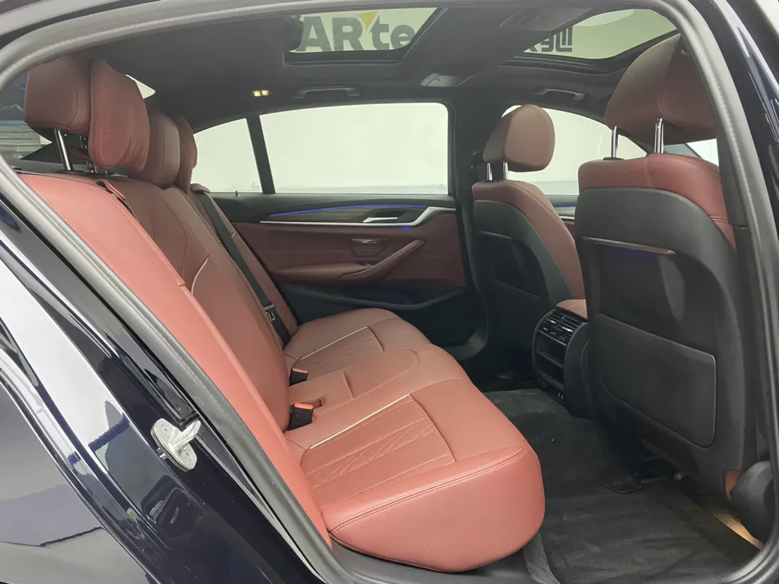 BMW 530Li, 2022 22