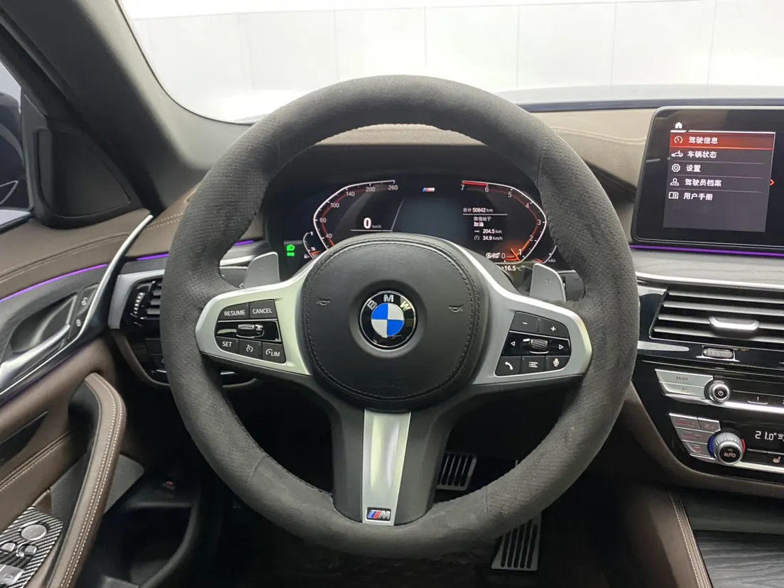 BMW 530Li, 2021 15