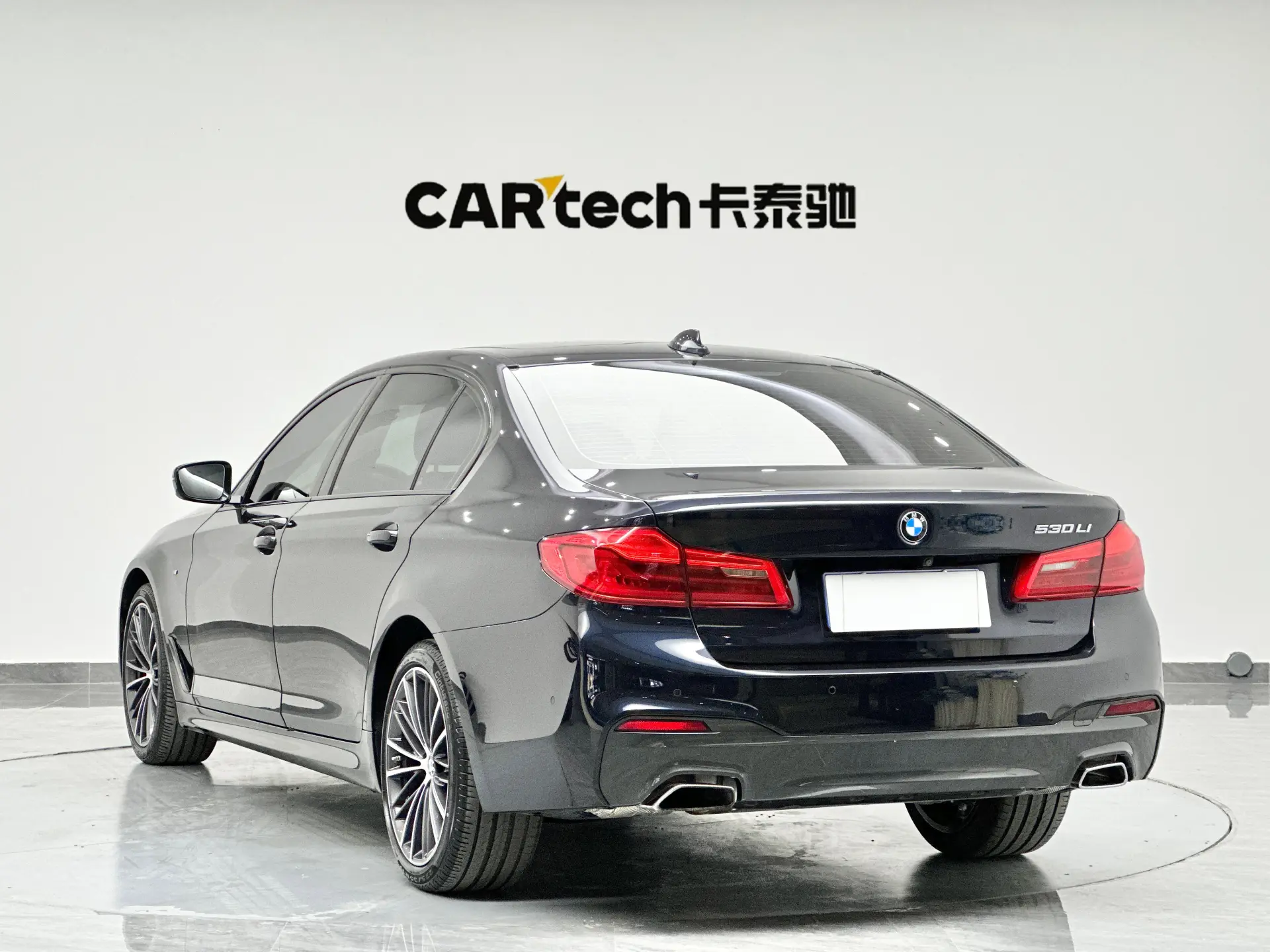 BMW 530Li, 2019 6