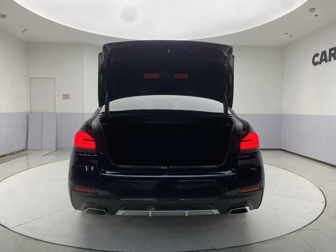 BMW 530Li, 2021 30
