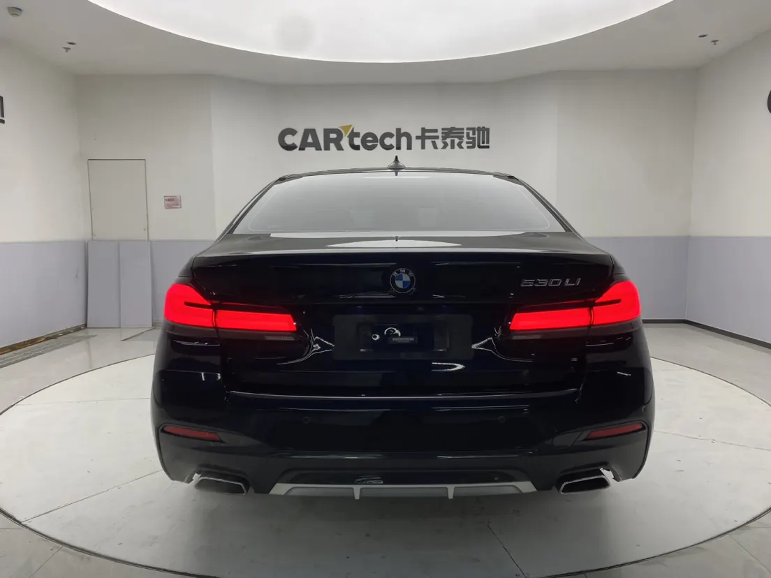 BMW 530Li, 2021 6