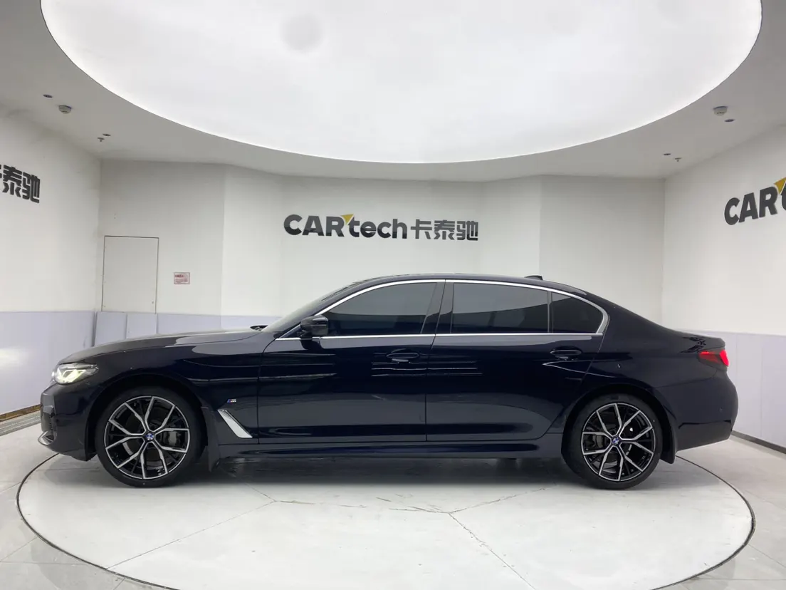 BMW 530Li, 2021 8