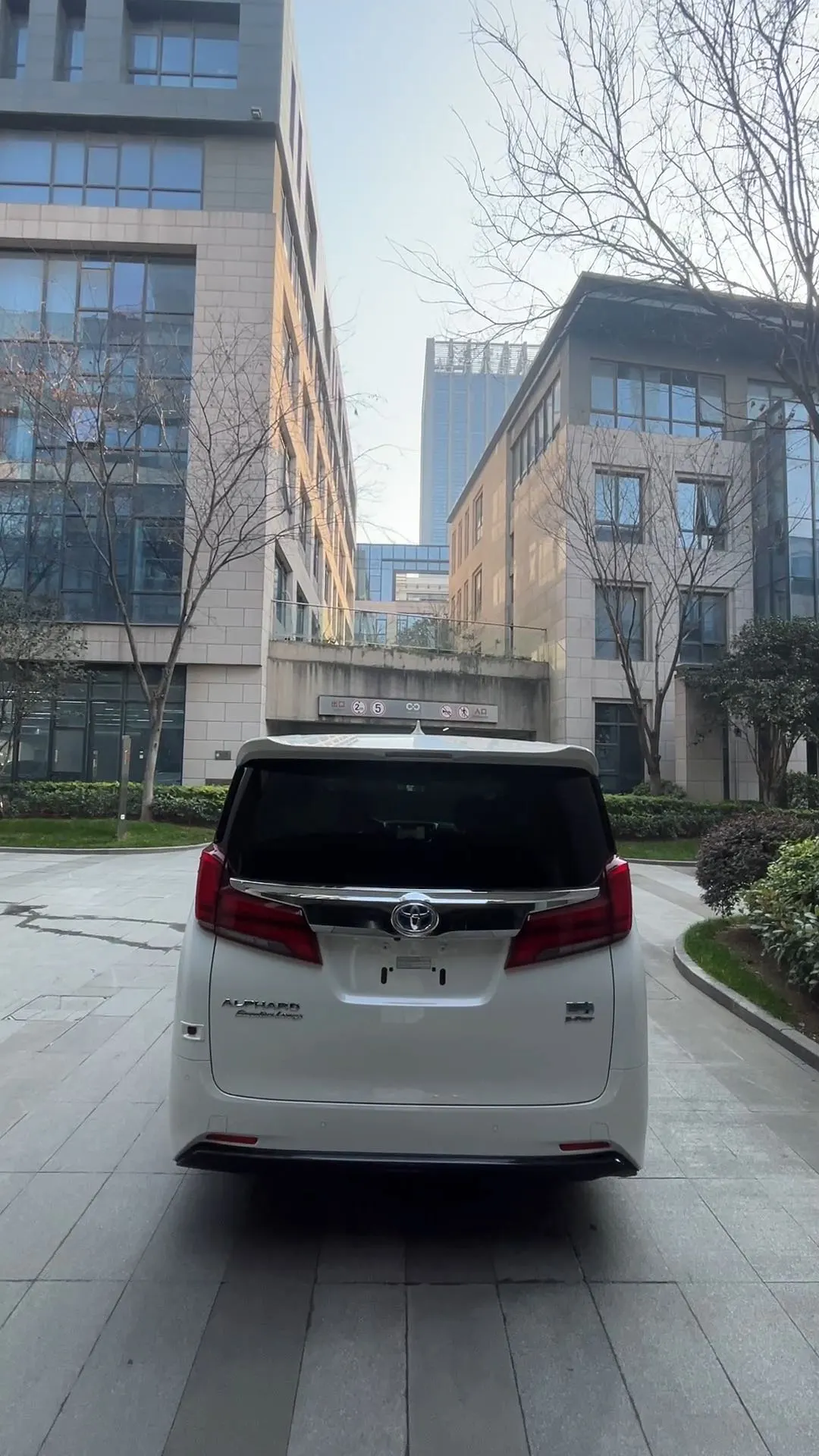 Toyota Alphard, 2022 4