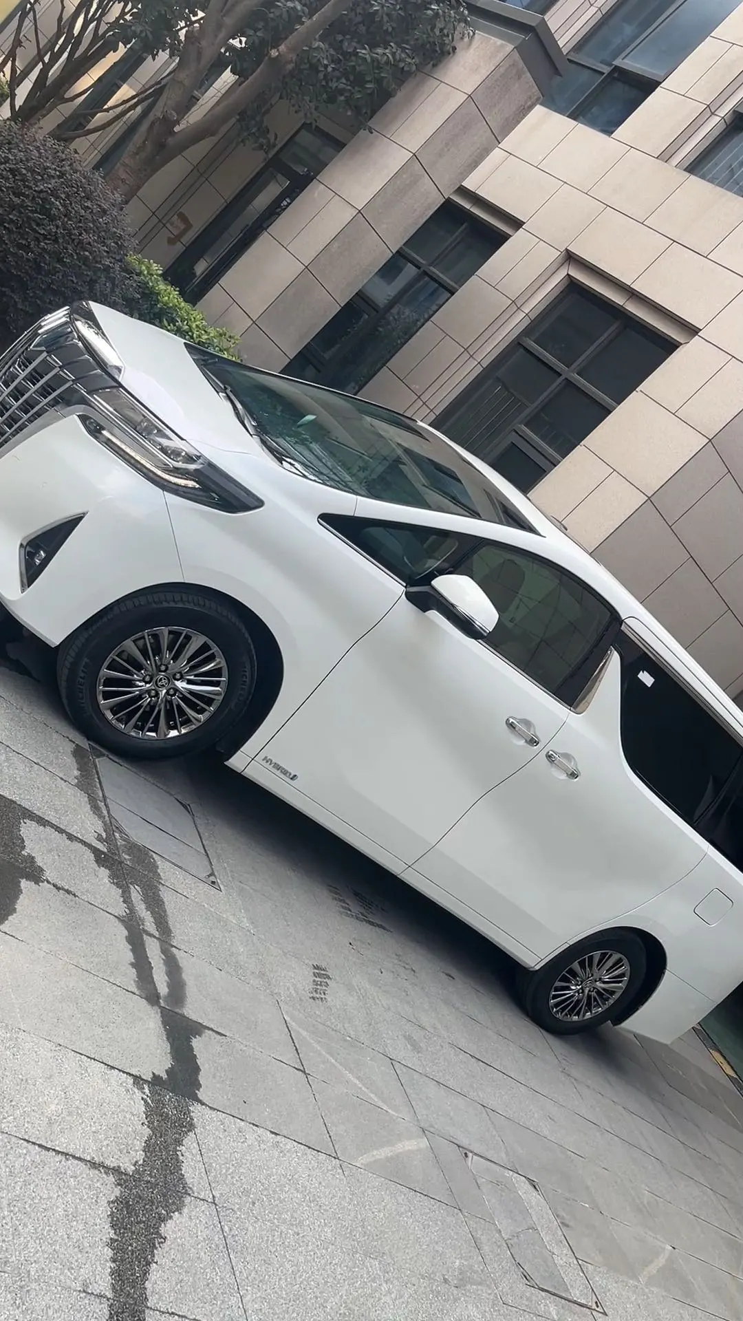 Toyota Alphard, 2022 7