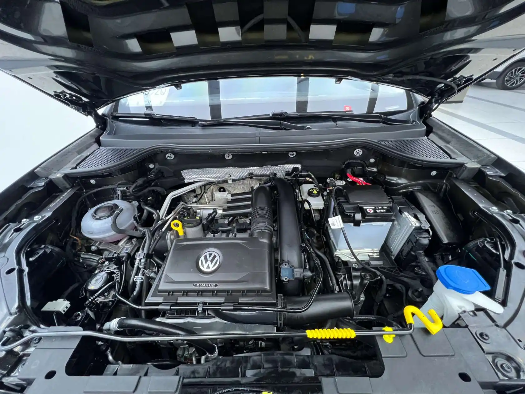Jetta VS5, 2024 25