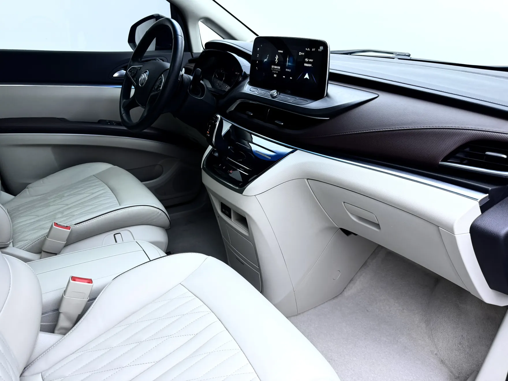 Buick GL8, 2022 17